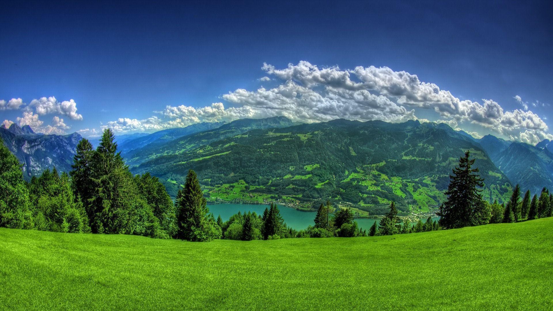 1920x1080 Download Meadow HD Wallpaper for Free, BsnSCB.com, Desktop