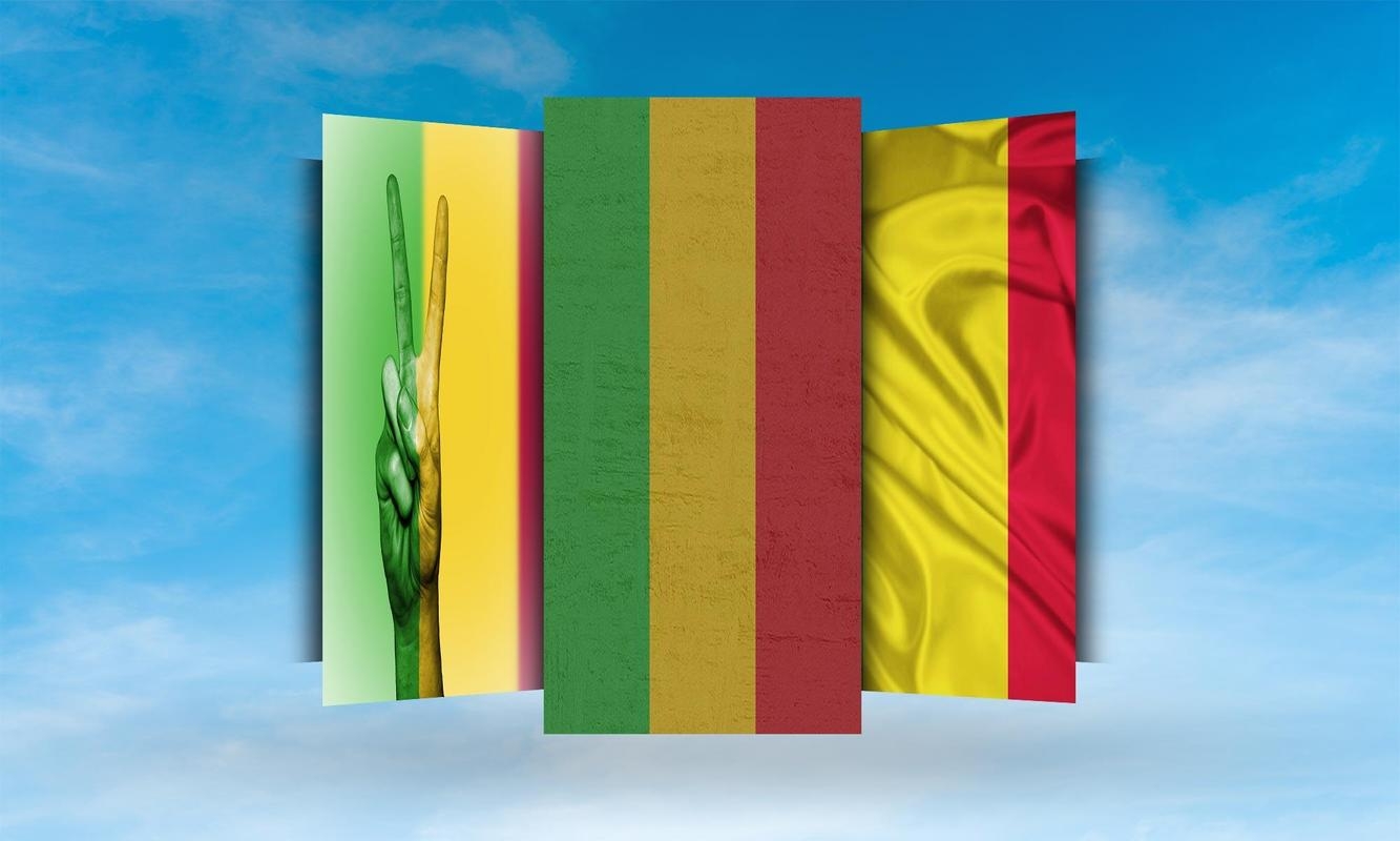 1340x800 Mali Flag Wallpaper for Android, Desktop