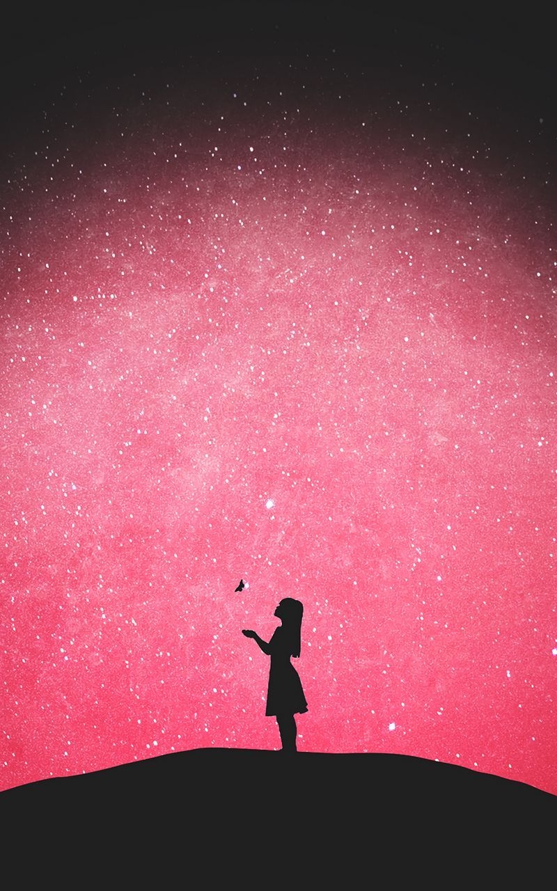 800x1280 Download wallpaper  silhouette, butterfly, girl, starry, Phone