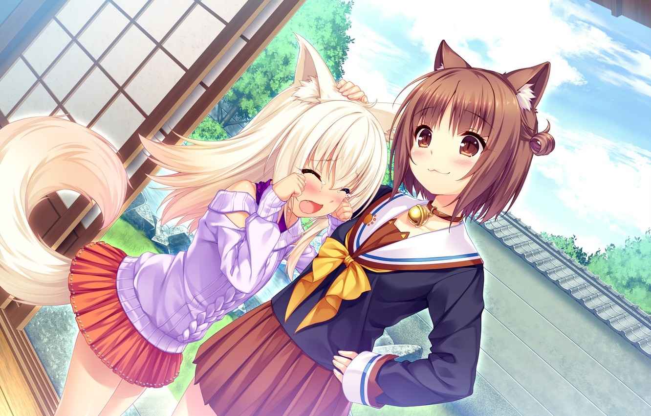 1340x850 Photo Wallpaper Girls, Bow, Nekopara, Desktop