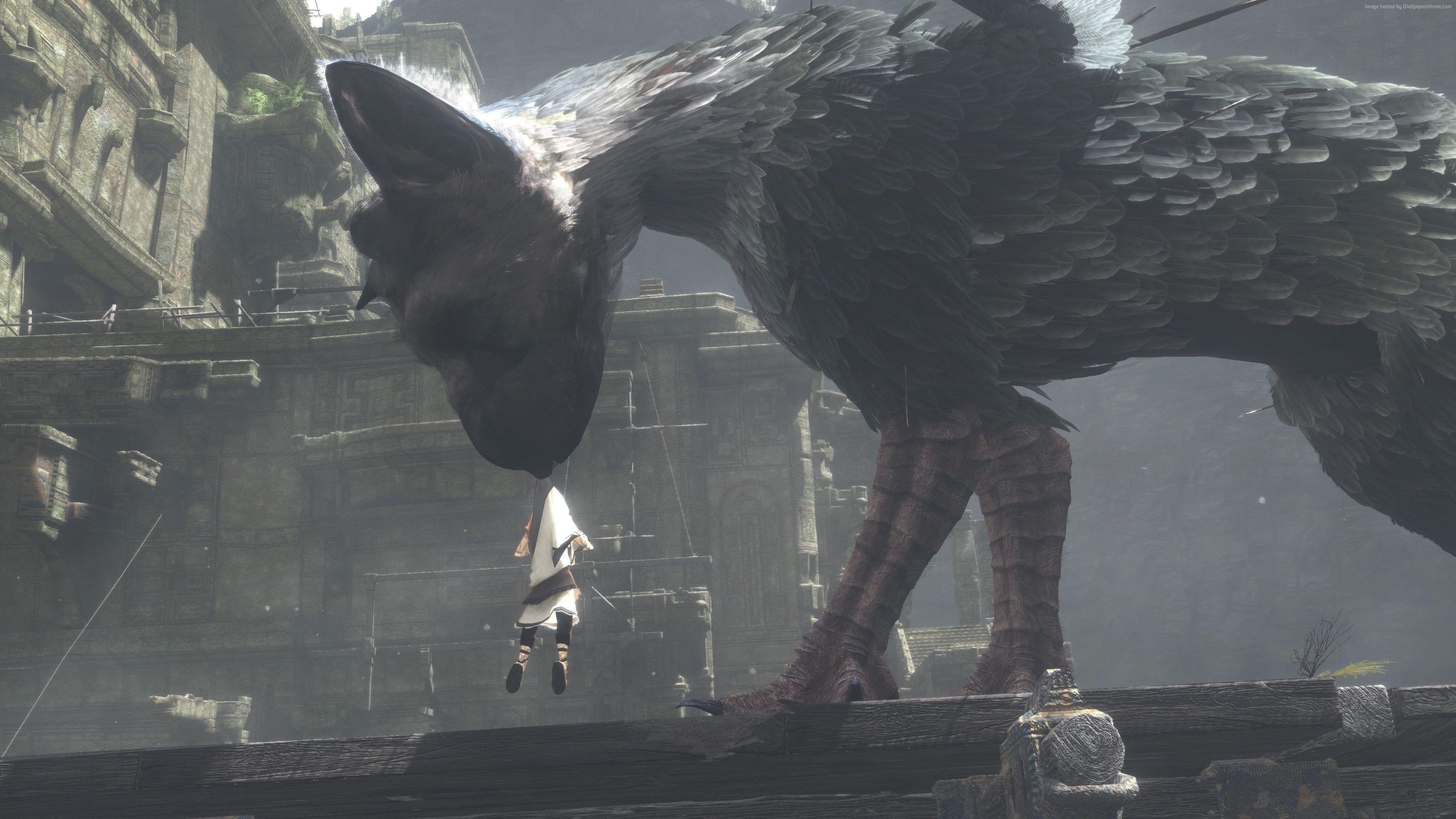 3840x2160 Wallpaper The Last Guardian, Trico, Best Games Games, Desktop