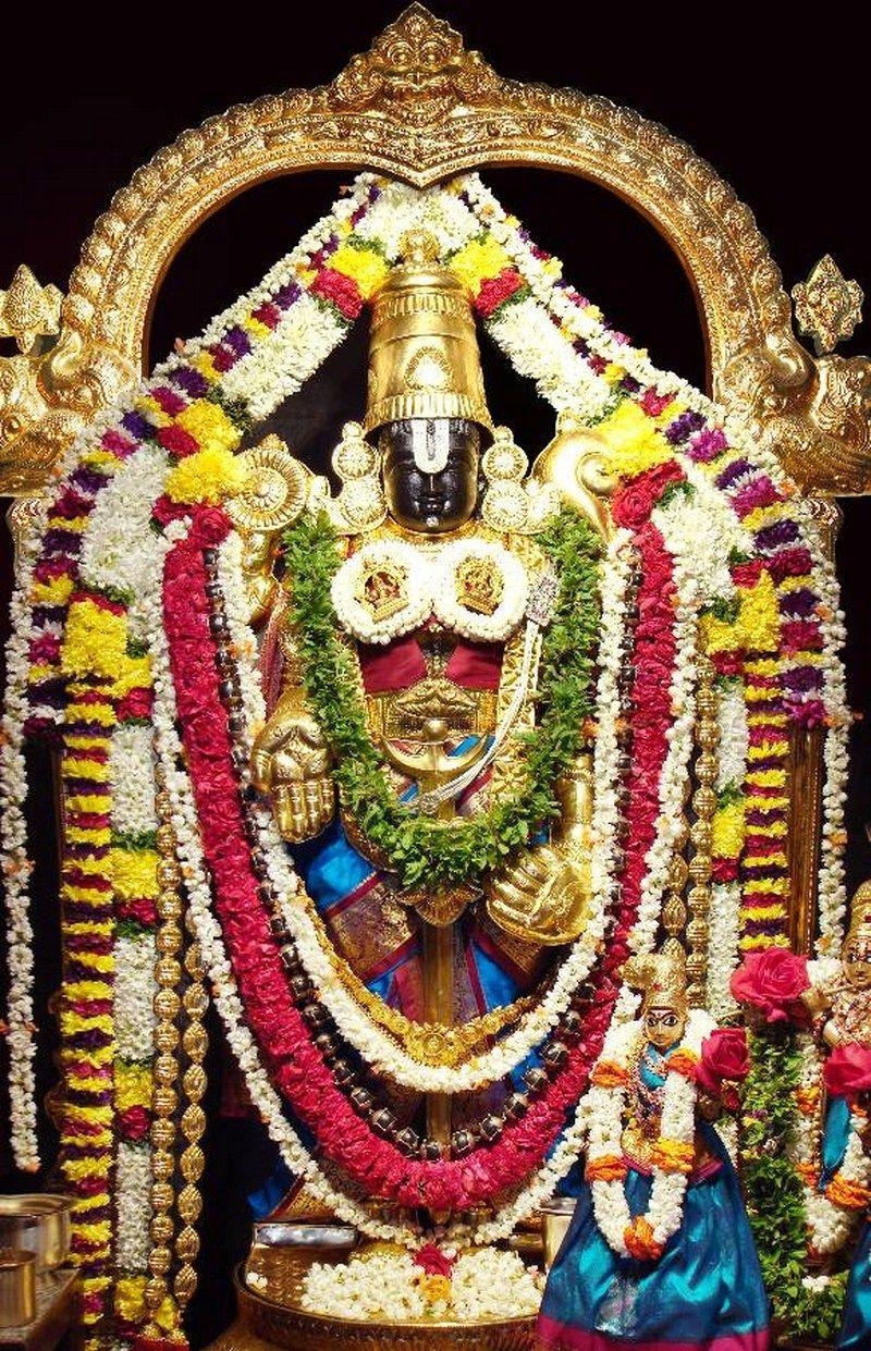 800x1250 Lord Tirumala Balaji Wallpaper image photo TIRUMALA, Phone