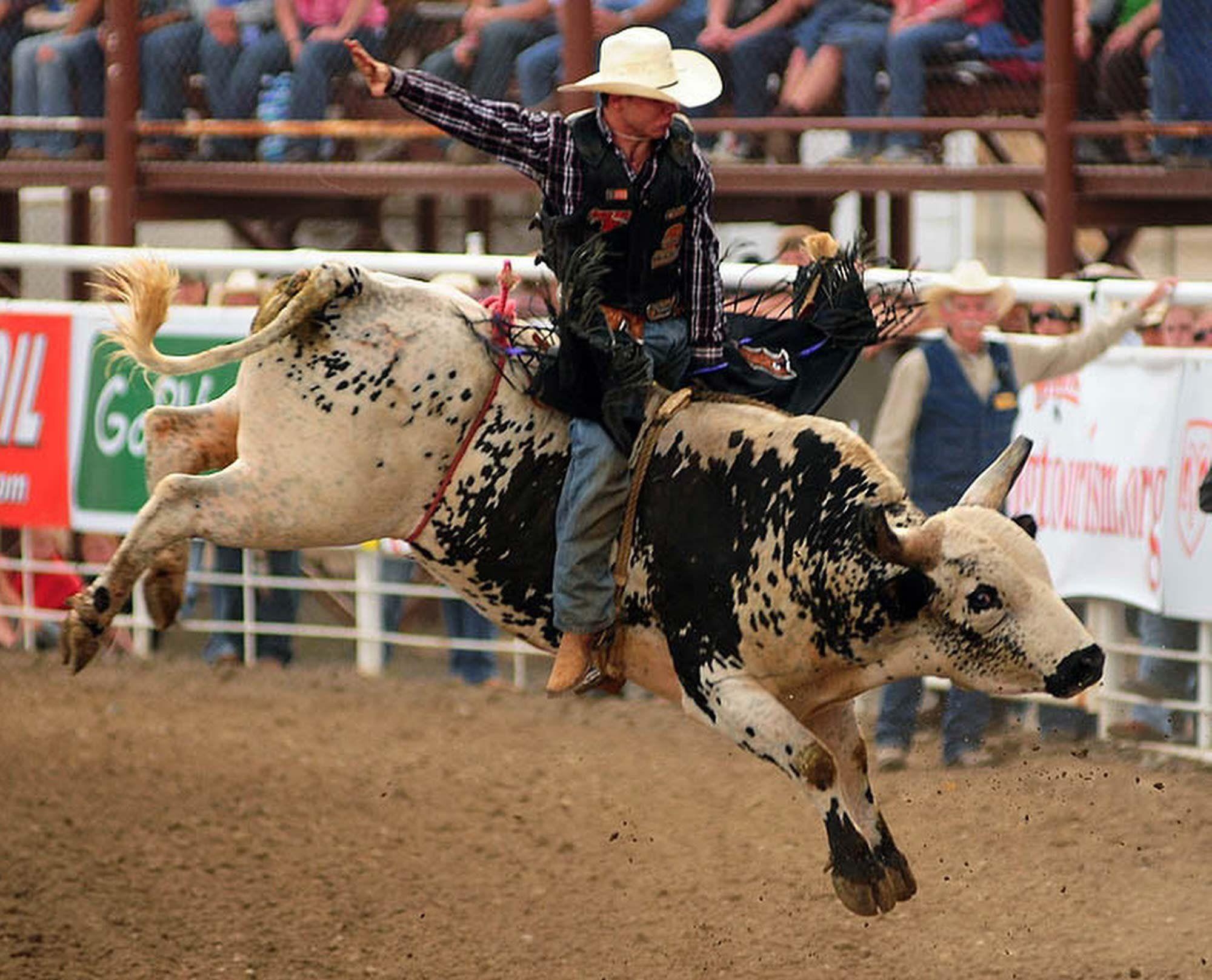 2000x1620 Bull Riding Wallpaper HD, Desktop