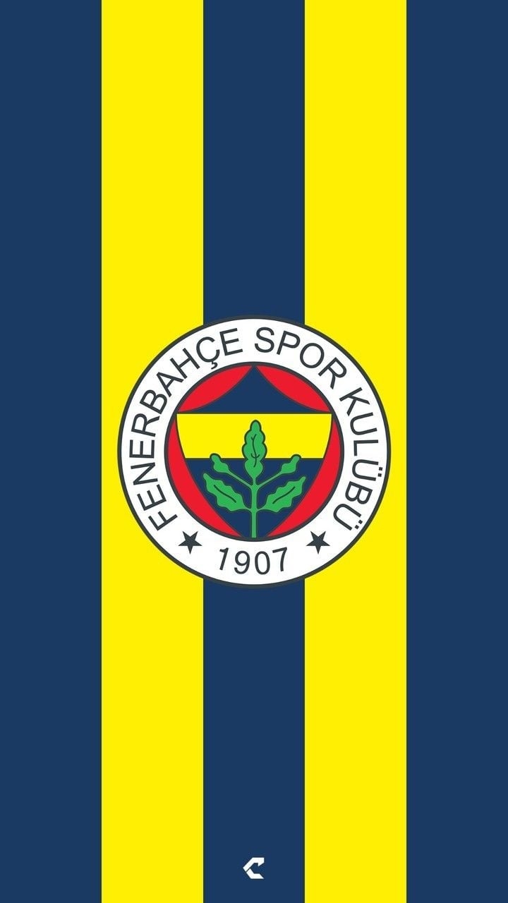 720x1280 Fenerbahce Logo Wallpaper, Phone