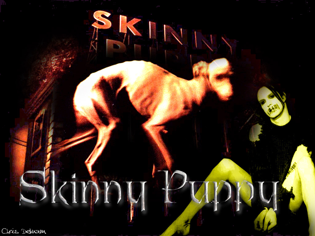 1030x770 skinny puppy. free wallpaper, music wallpaper, desktop backrgounds!, Desktop