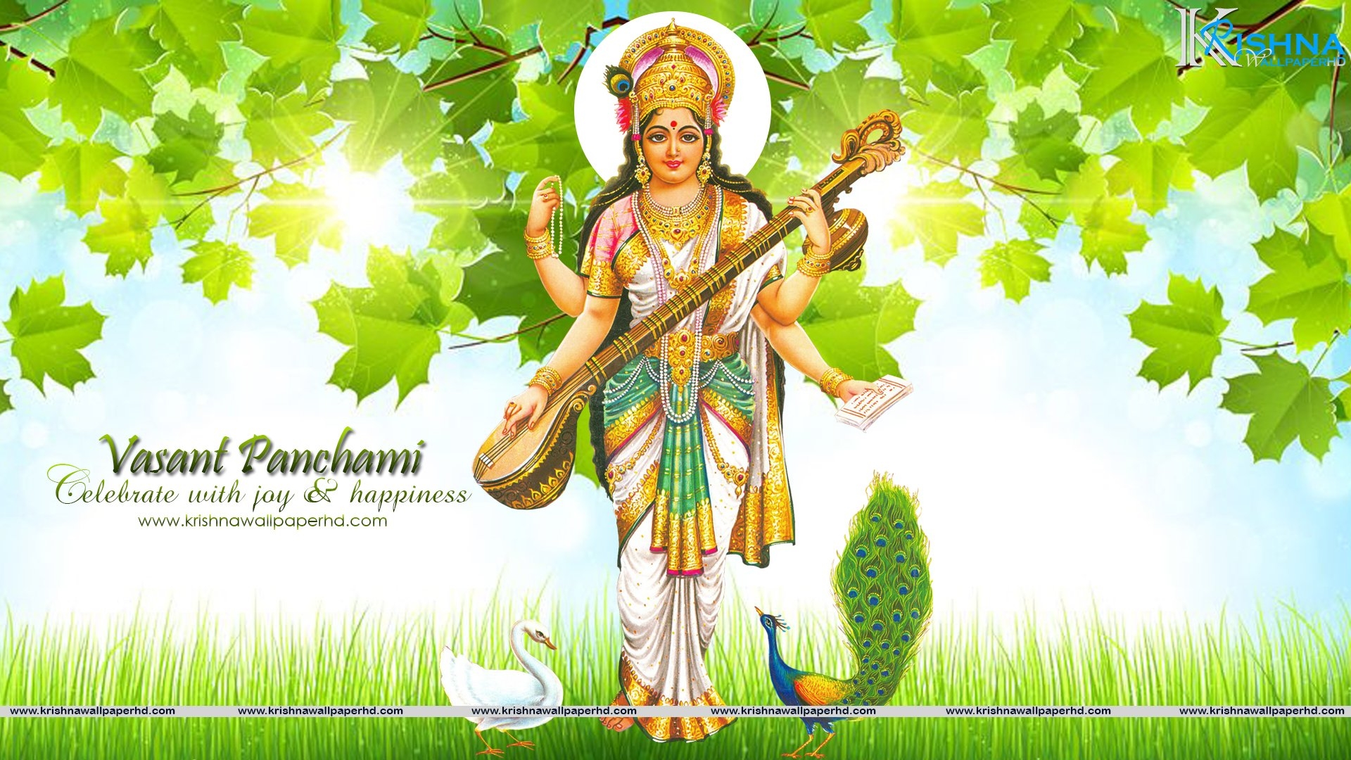 1920x1080 Free Download Basant Panchami Full HD Wallpaper, Desktop