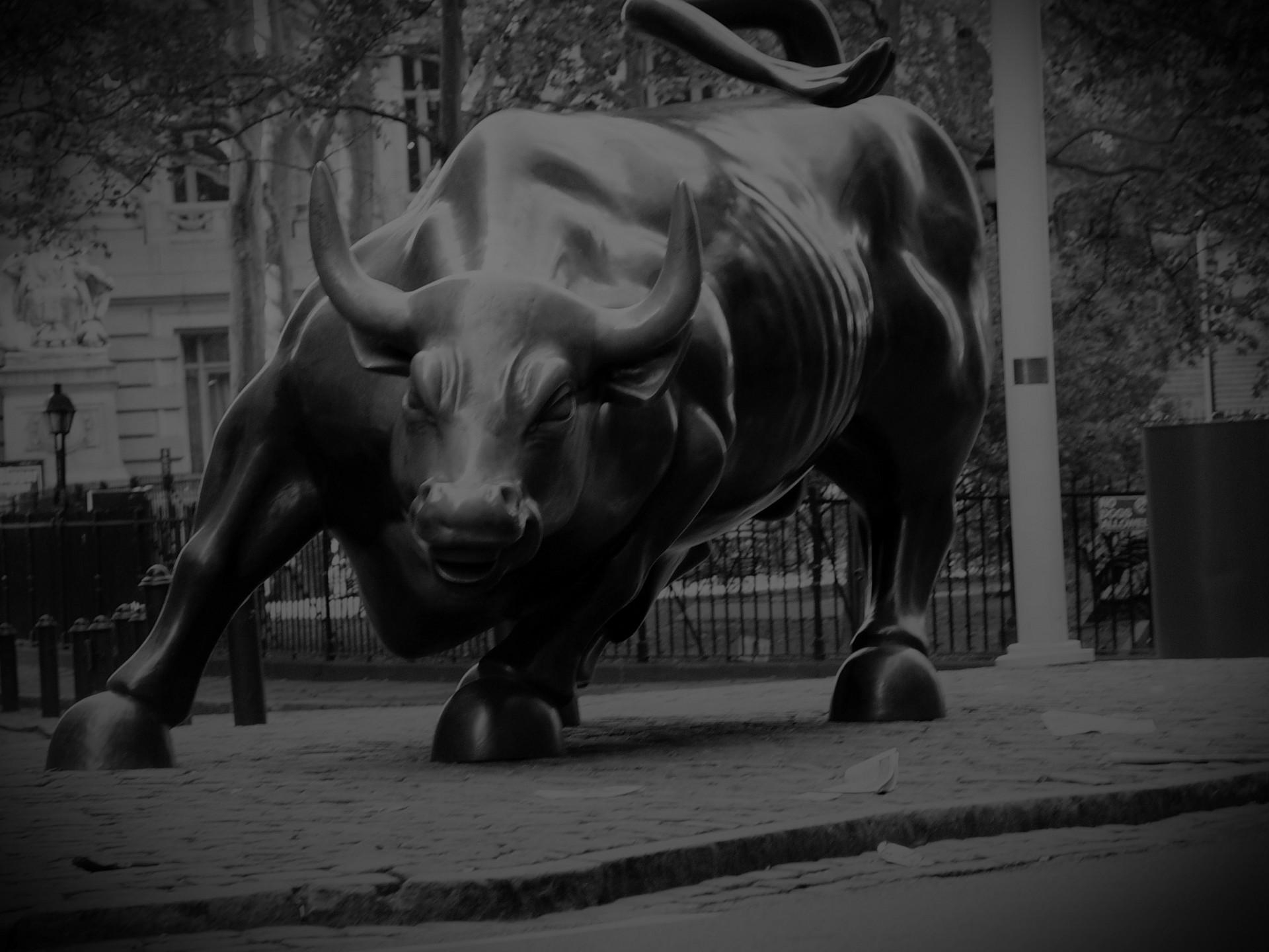 1920x1440 Forex bull wallpaper, Desktop