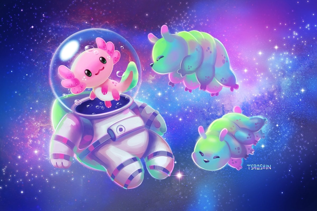 1200x800 Free download Big DigitalArt Gallery v3 Category View by scadl [] for your Desktop, Mobile & Tablet. Explore Kawaii Axolotl Wallpaper. Kawaii Wallpaper, Kawaii Wallpaper, Kawaii Anime Wallpaper, Desktop