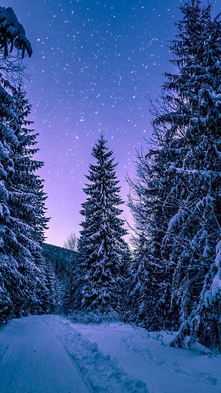 750x1340 Winter Night Phone Wallpaper Free Winter Night Phone Background, Phone