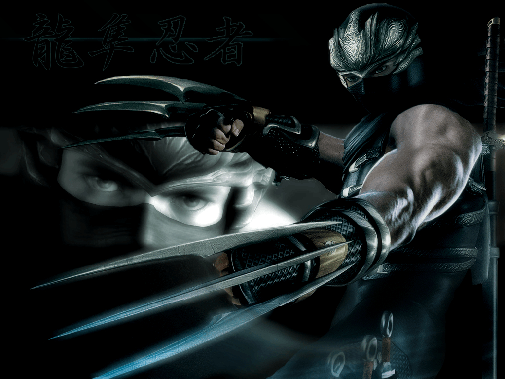 1030x770 Ryu Hayabusa or Alive Wallpaper, Desktop