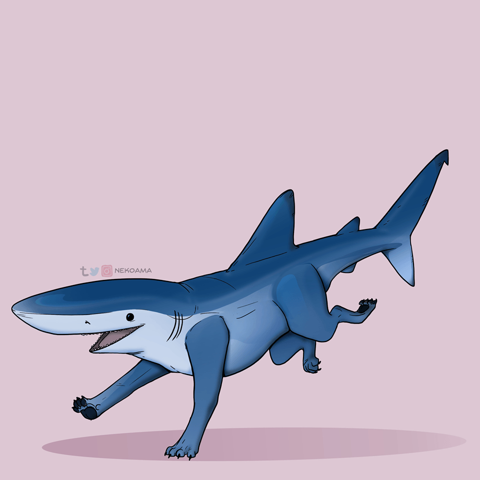 960x960 Cute Shark Wallpaper, HD Cute Shark Background on WallpaperBat, Phone