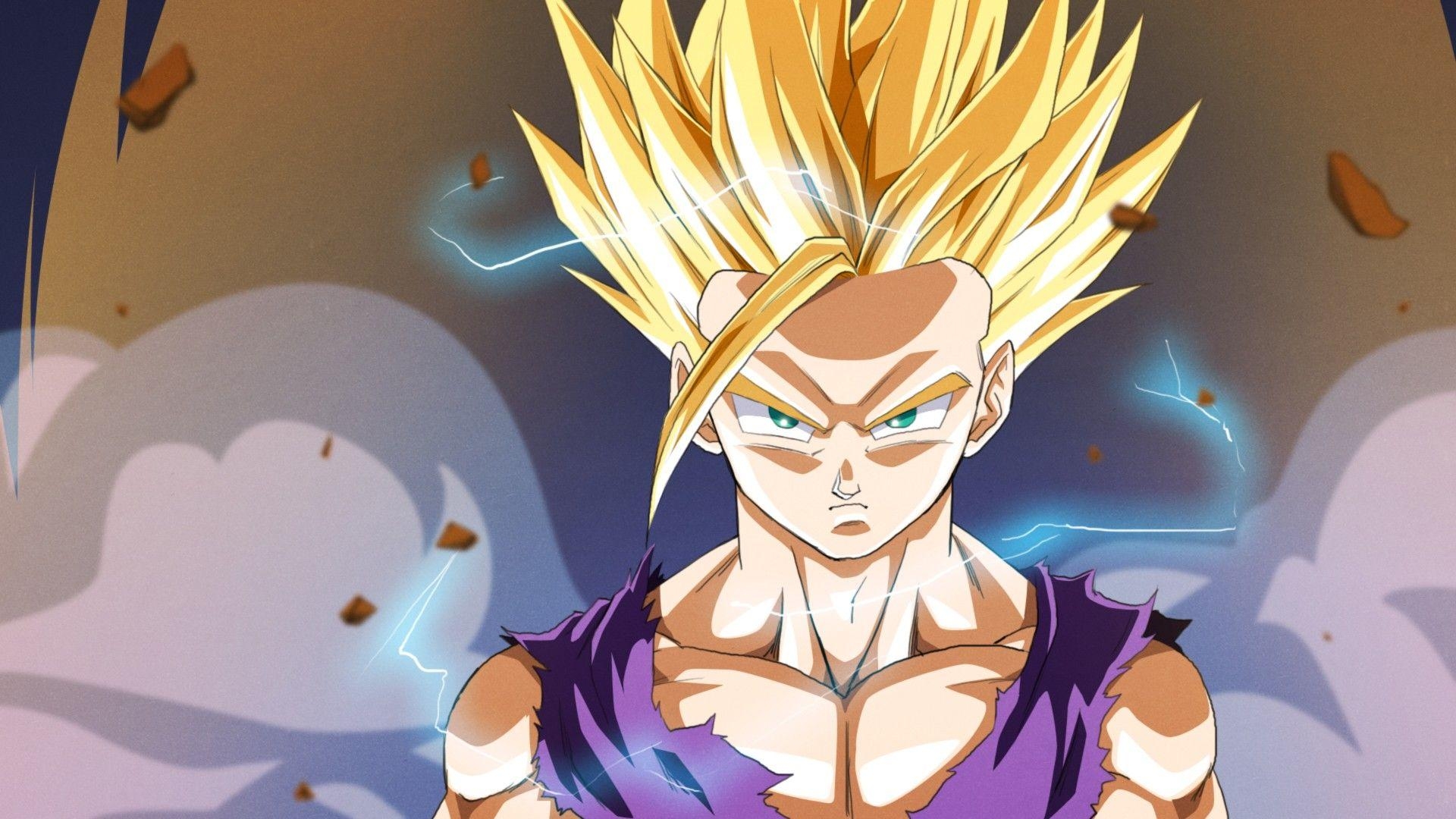 1920x1080 Dragon Ball Z Anime Wallpaper for FB Cover, Desktop