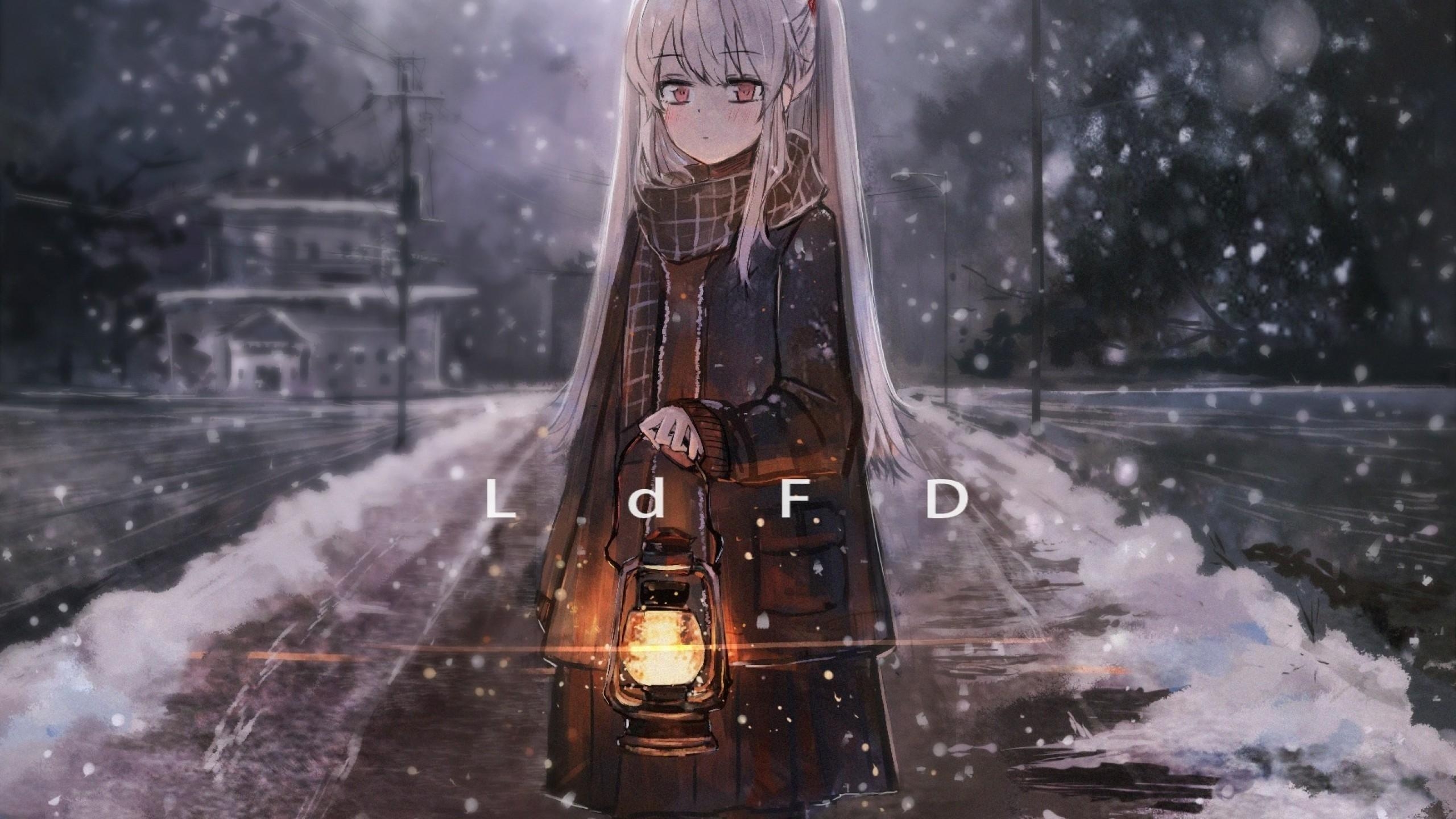 2560x1440 Download  Anime Girl, Lantern, Snow, White Hair, Desktop