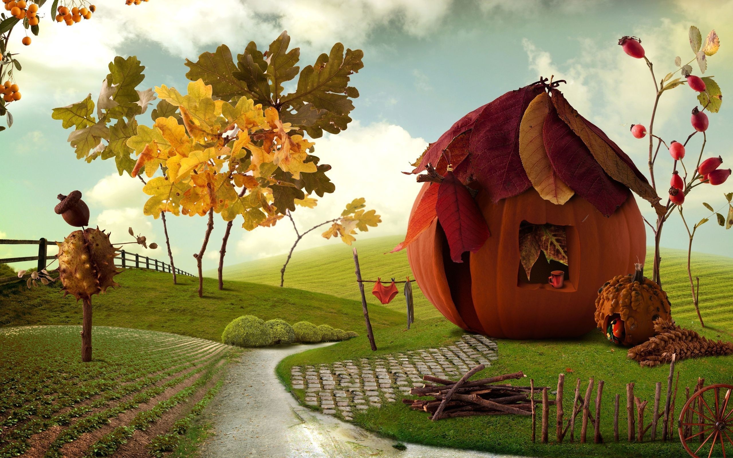 2560x1600 Cute Fall Wallpaper Background, Desktop