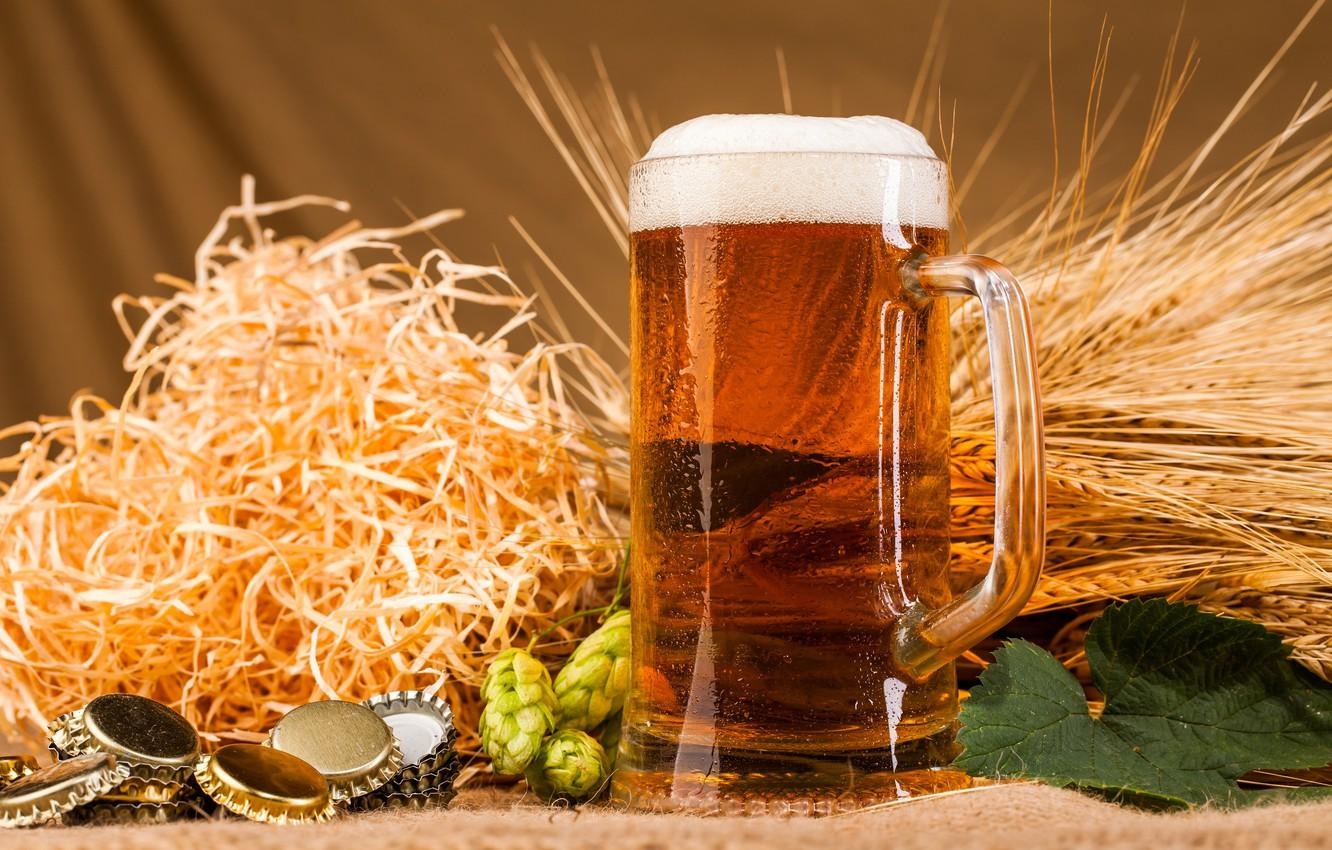 1340x850 Wallpaper foam, beer, mug, tube, ears, hops image, Desktop