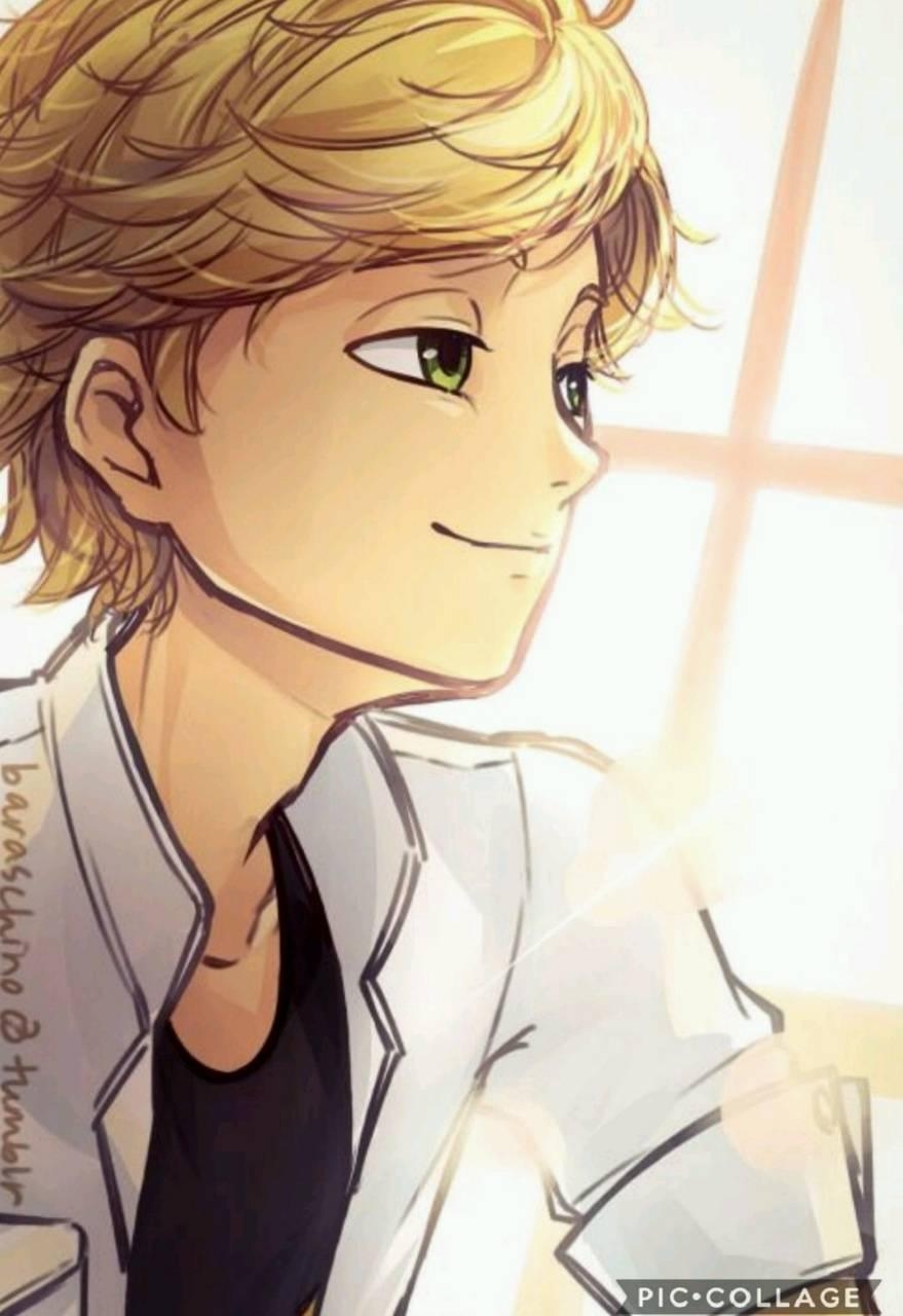 880x1280 Adrien Agreste wallpaper, Phone