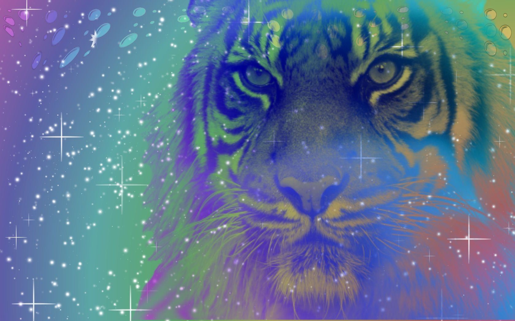 1680x1050 Cool Tiger Background, Desktop