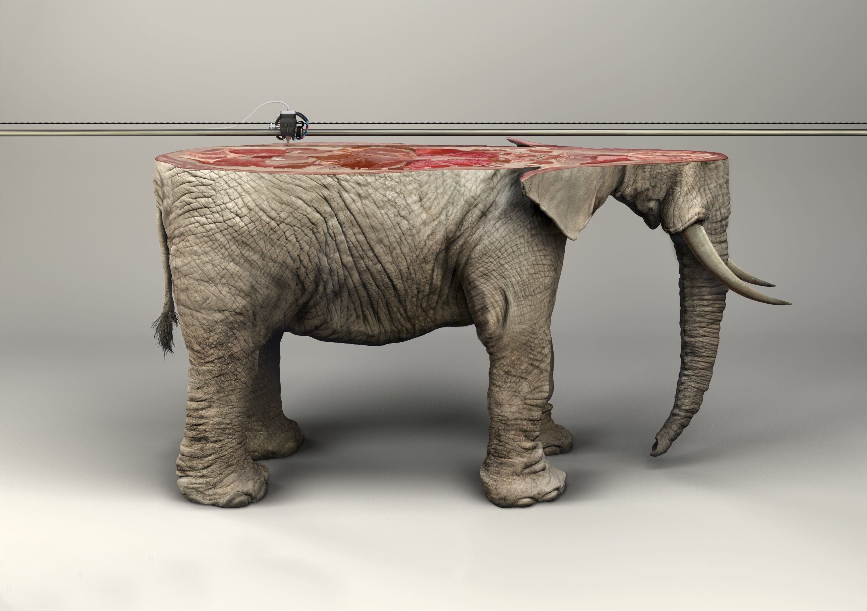 3030x2140 artwork, Animals, Digital Art, Elephants, 3D Object, 3D Printer, Skin, Photo Manipulation, Fangs, Simple Background, Wires, IFAW Wallpaper HD / Desktop and Mobile Background, Desktop