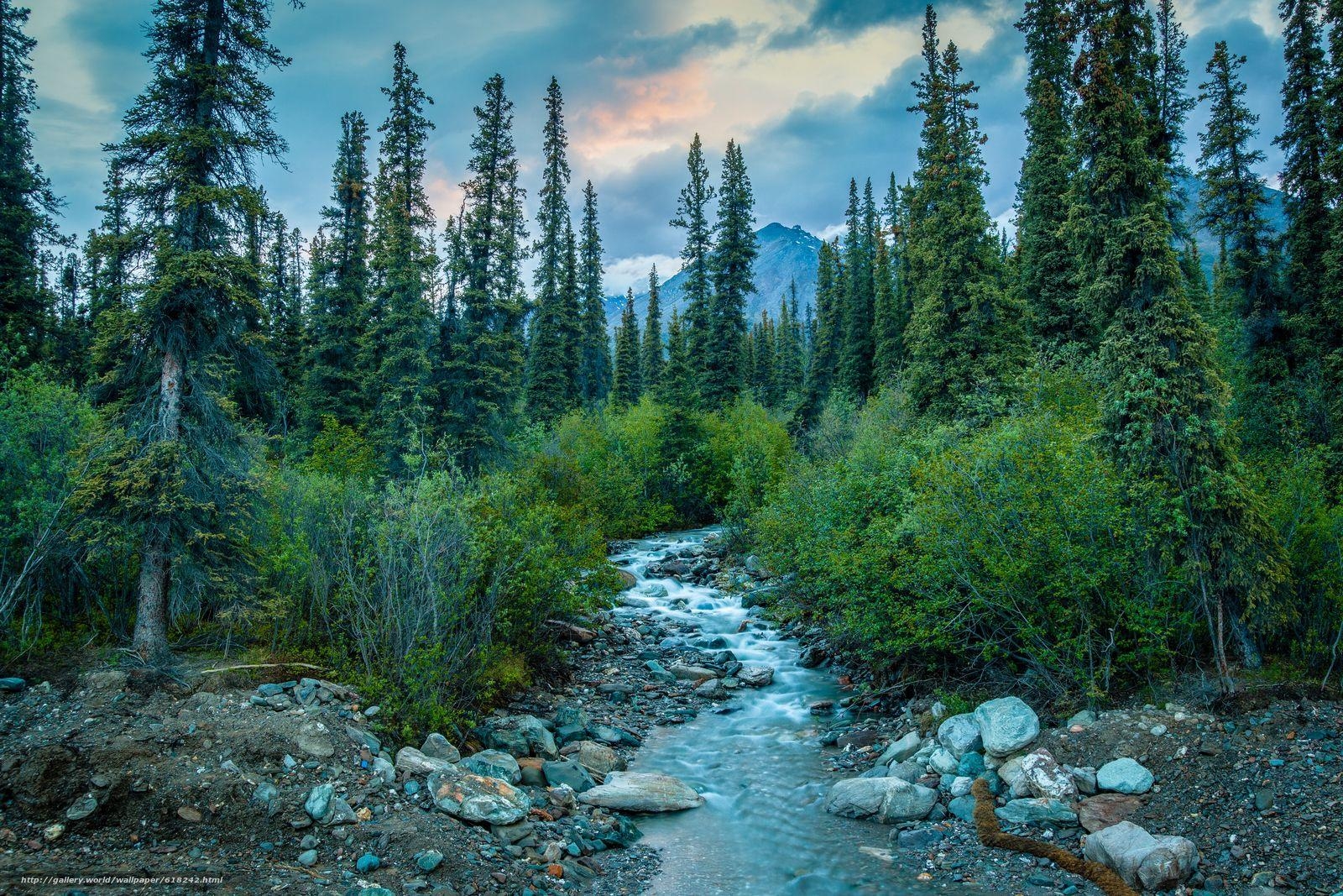 1600x1070 618242_denali National, Desktop