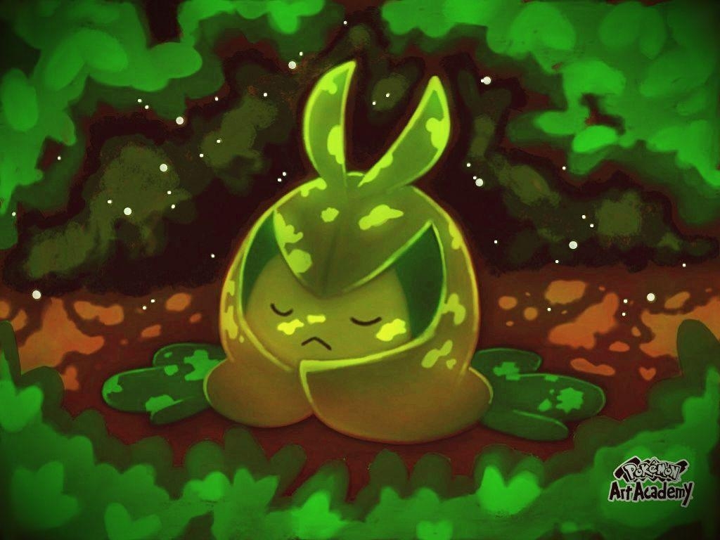 1030x770 Swadloon, Desktop