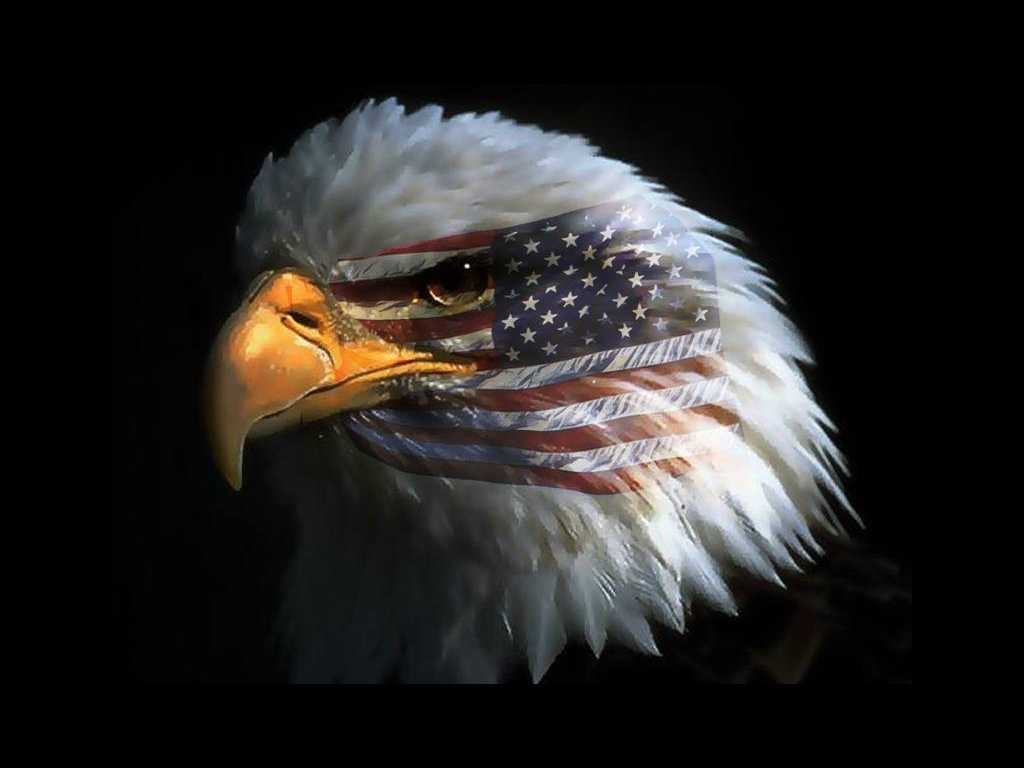 1030x770 American Eagle Wallpaper High Resolution Of iPhone HD Image, Desktop