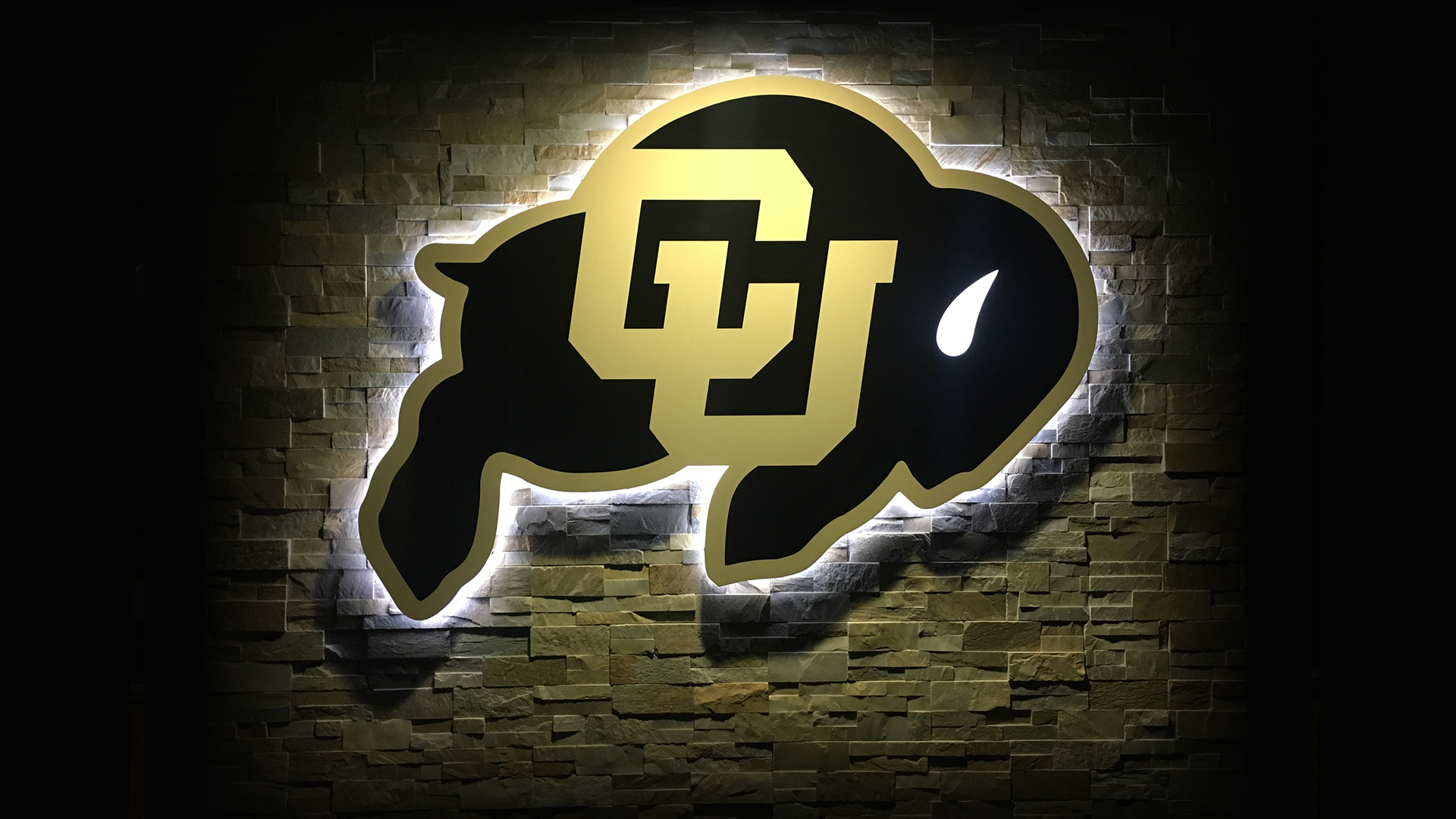 1920x1080 CU Themed Zoom Meeting Background Of Colorado Athletics, Desktop