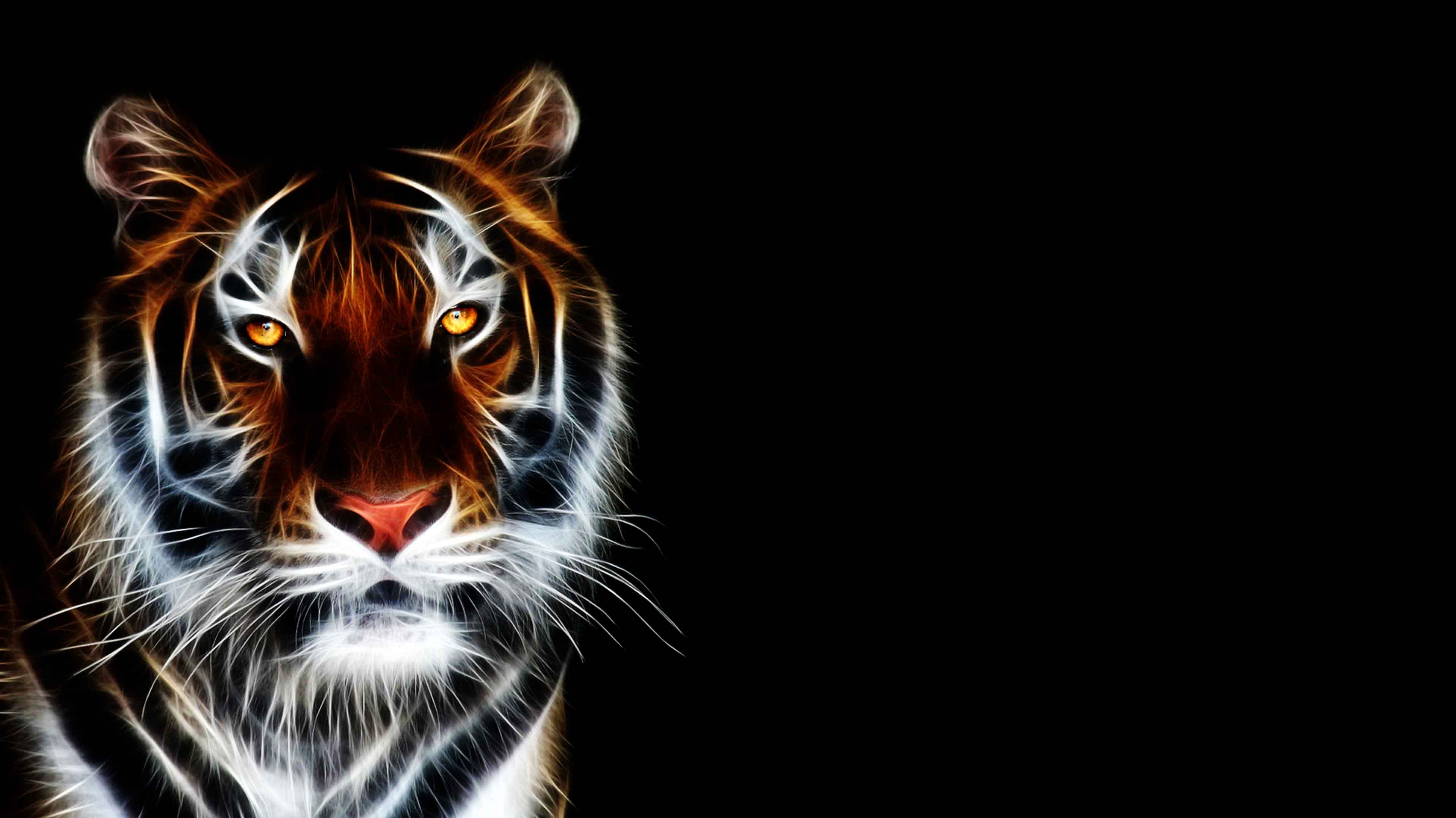 3840x2160 Tiger Wallpaper 4K (), Desktop