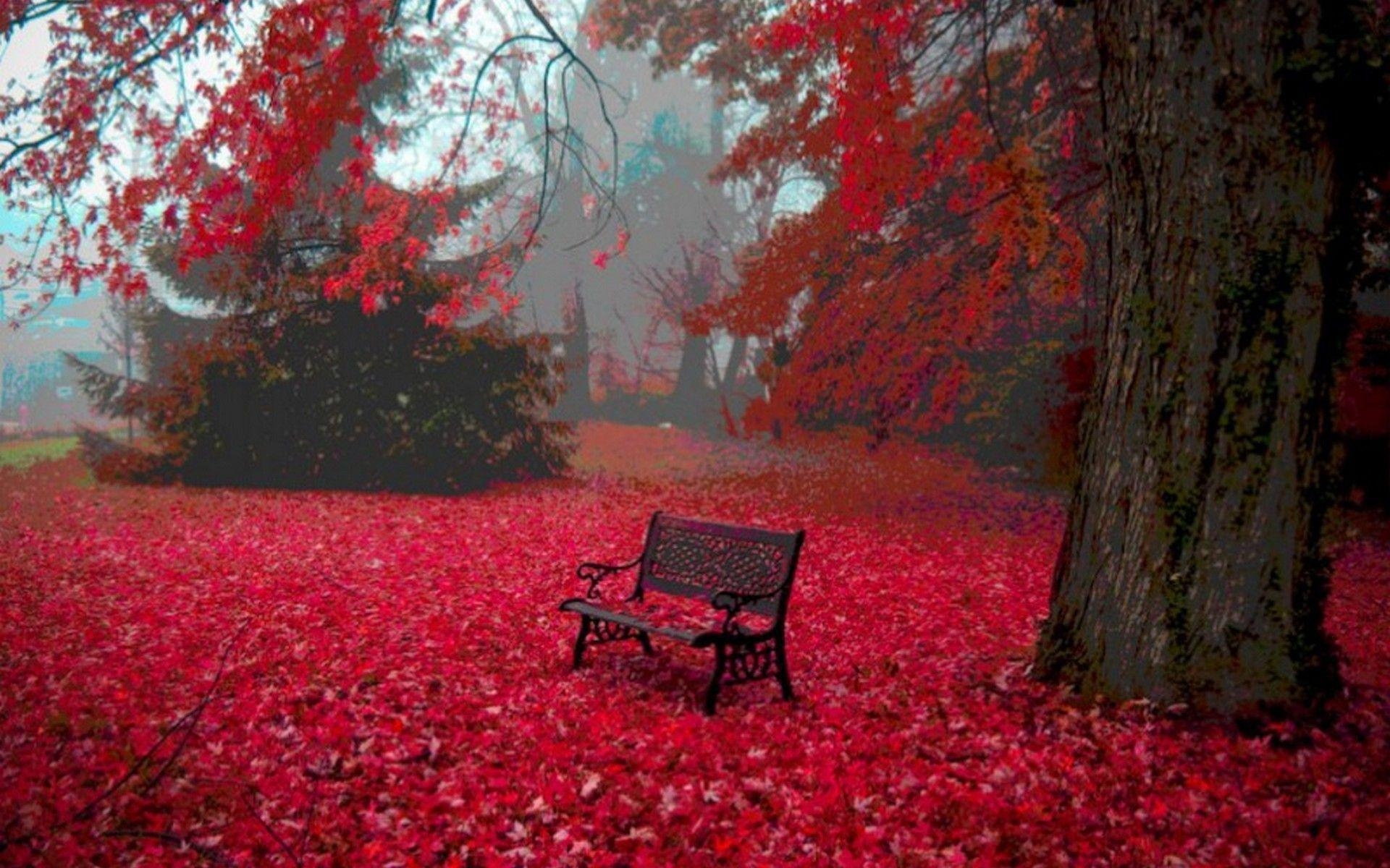 1920x1200 Red Leaves HD Wallpaper, Desktop