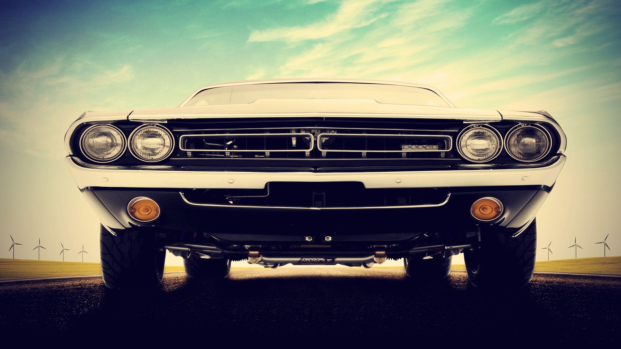 2560x1440 car, Dodge, Dodge Challenger, Muscle Cars Wallpaper HD / Desktop, Desktop