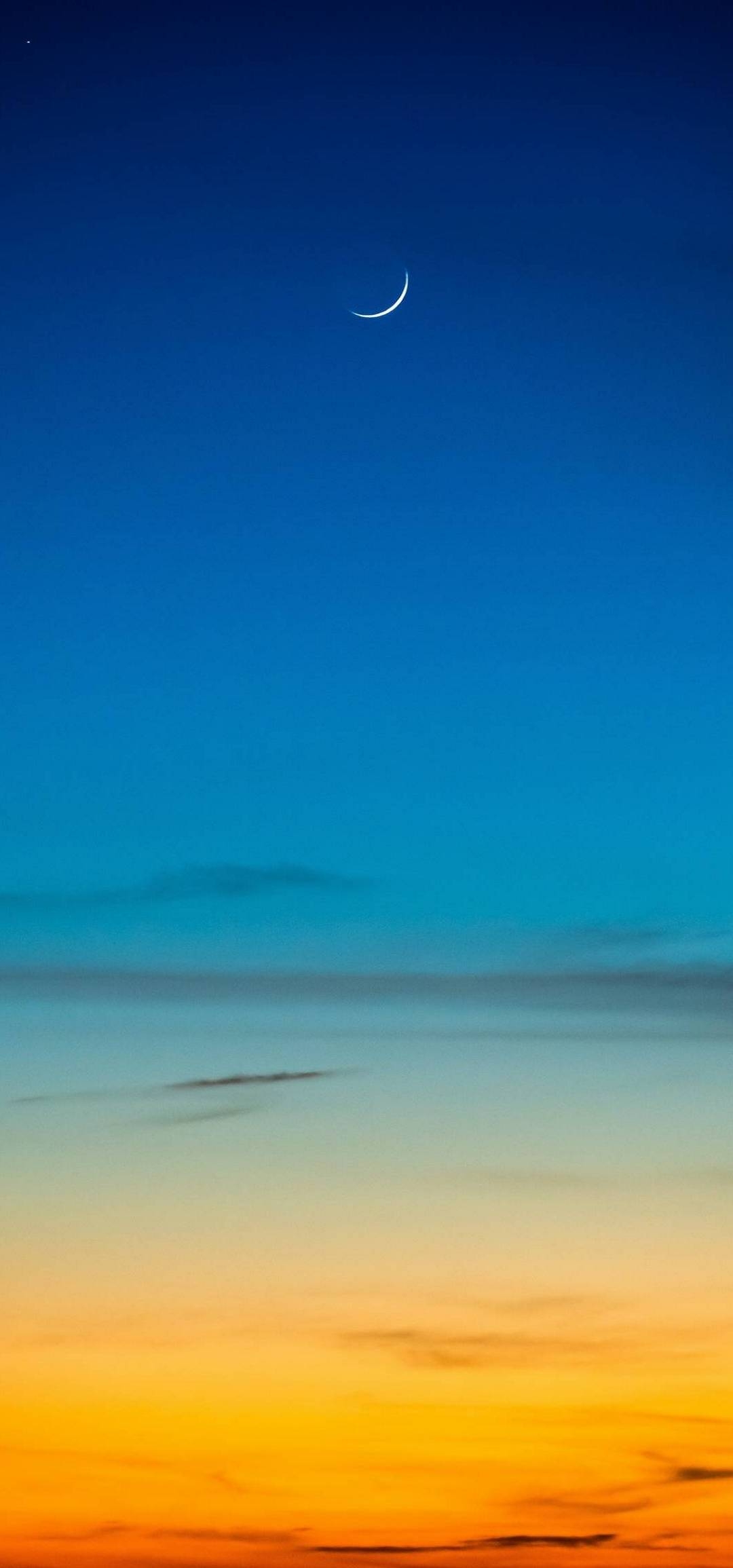 1080x2310 Wallpaper, Phone