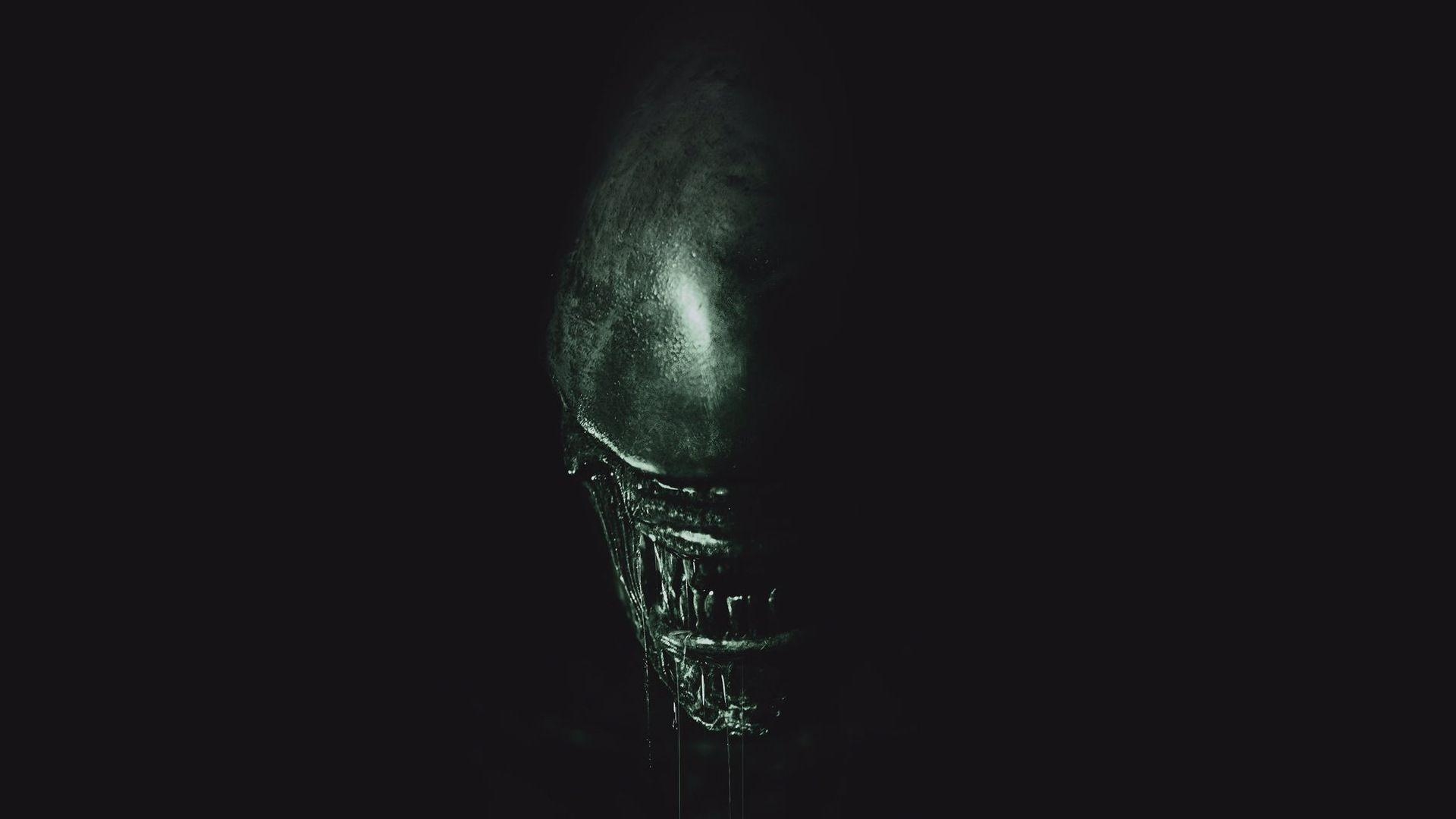 1920x1080 Xenomorph Wallpaper, Desktop