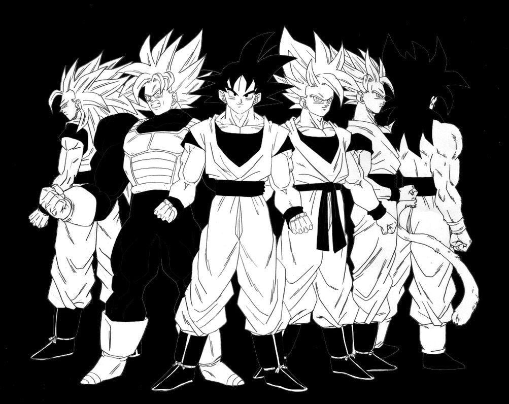 1010x800 Dragon Ball Z image Goku HD wallpaper and background photo, Desktop