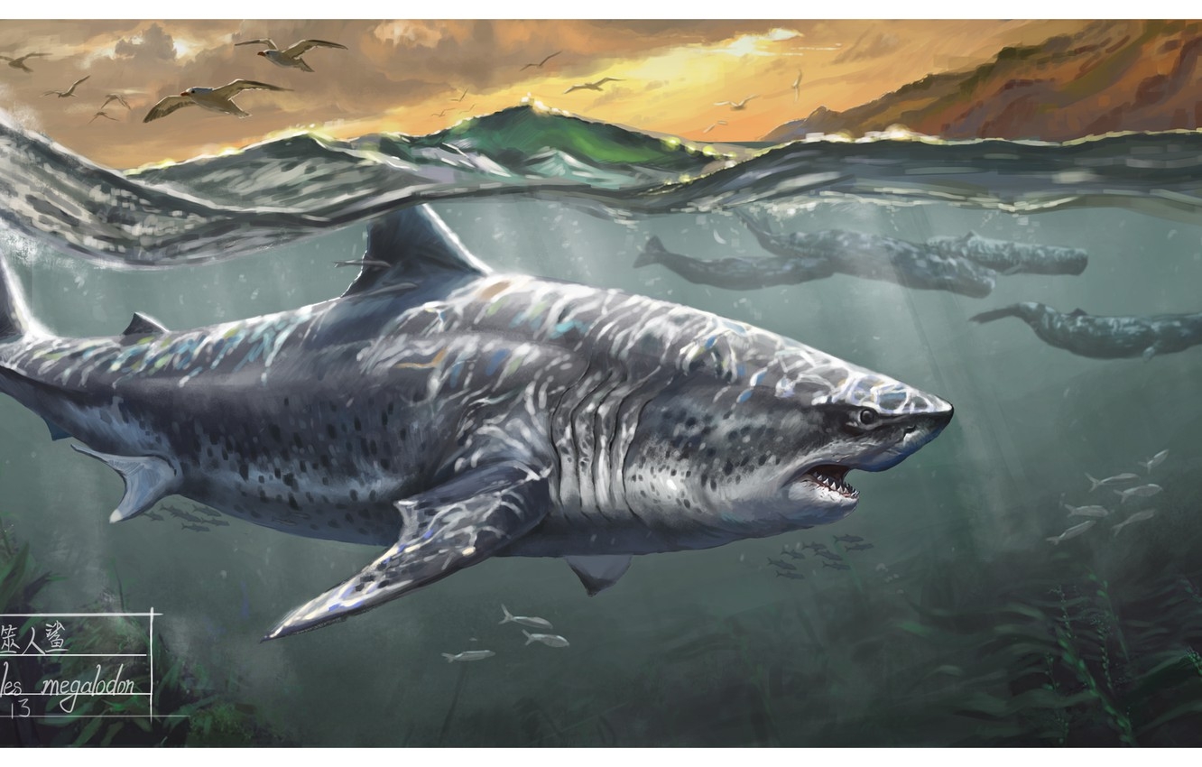 1340x850 Wallpaper Shark, Whales, Megalodon image for desktop, section арт, Desktop