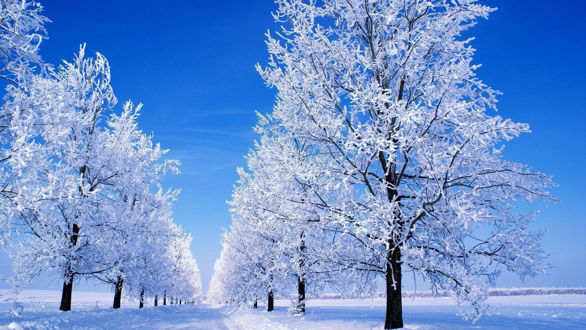 1920x1080 winter scene desktop wallpaper 2015, Desktop