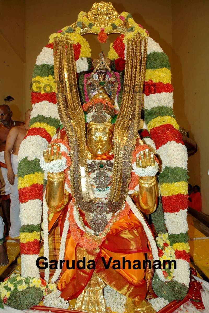 800x1200 Tirumala Brahmotsavam Garuda Seva, Phone