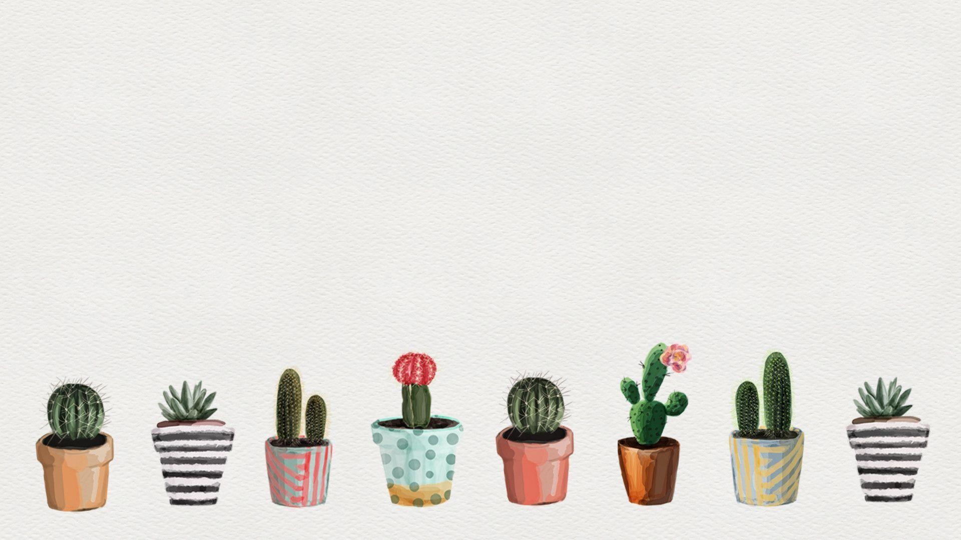 1920x1080 Aesthetic Succulents Wallpaper.ca, Desktop