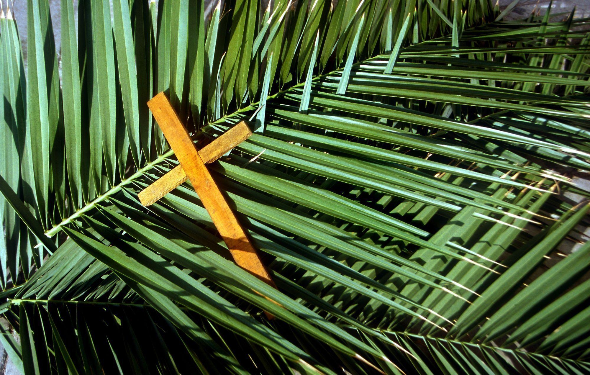 2000x1280 Palm Sunday Quotes from Bible, Wishes, Picture and Image, Desktop