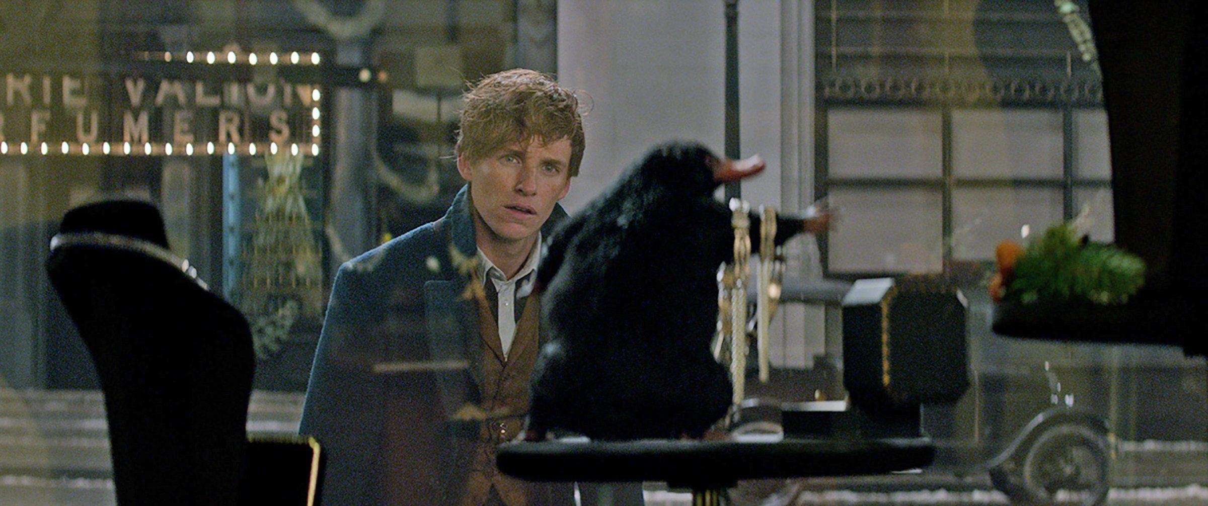 2400x1010 Fantastic Beasts, Dual Screen