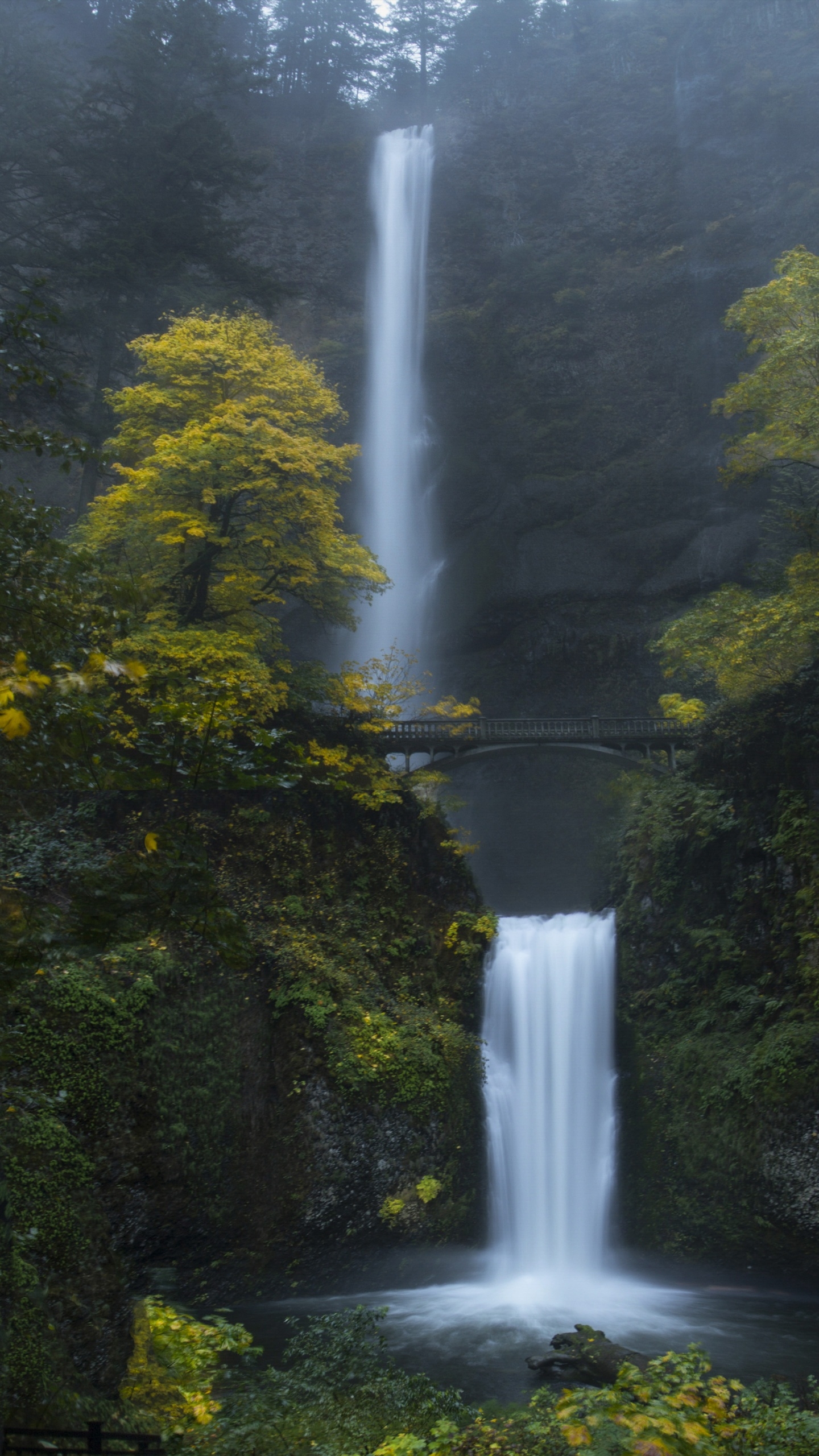 1440x2560 Multnomah Falls Wallpaper 4K, Oregon, Forest, Waterfalls, Phone