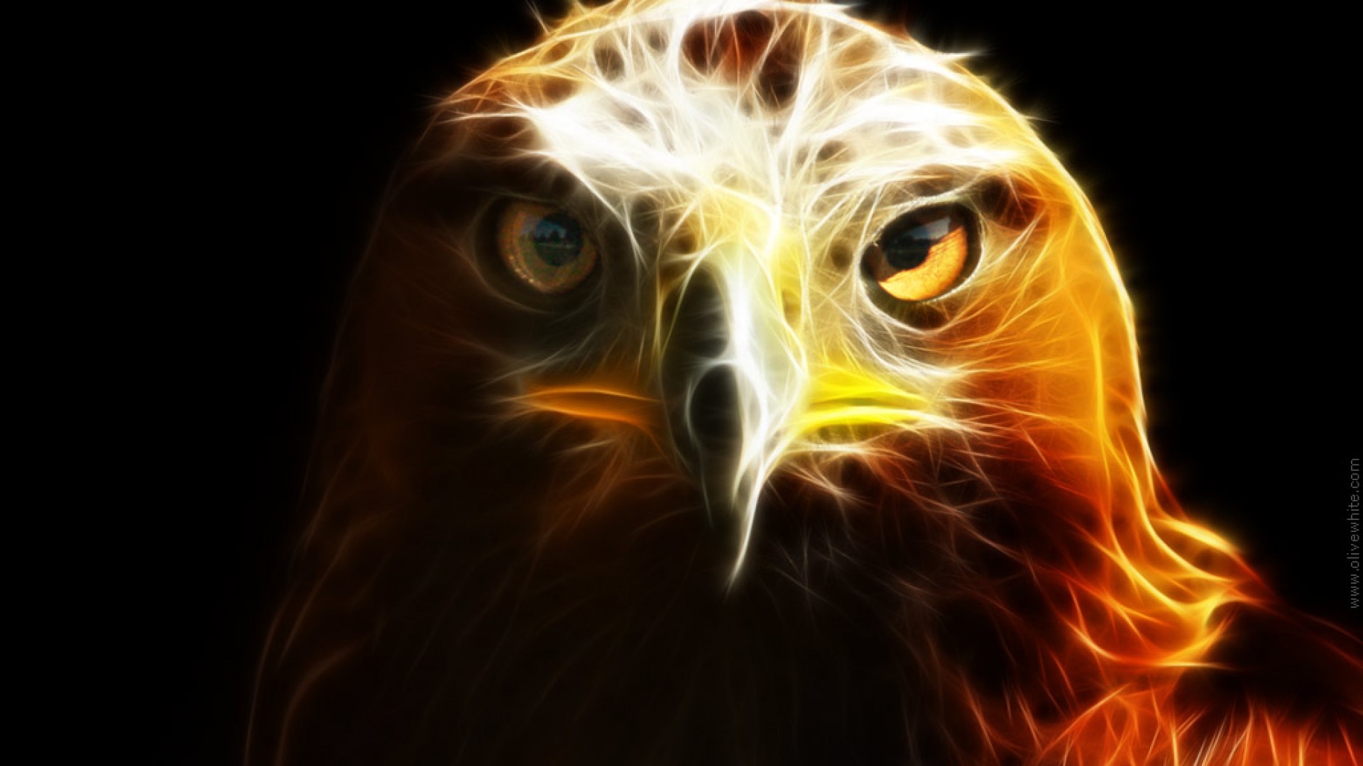 1920x1080 Desktop Eagle Wallpaper HD Eagle Cool, Desktop