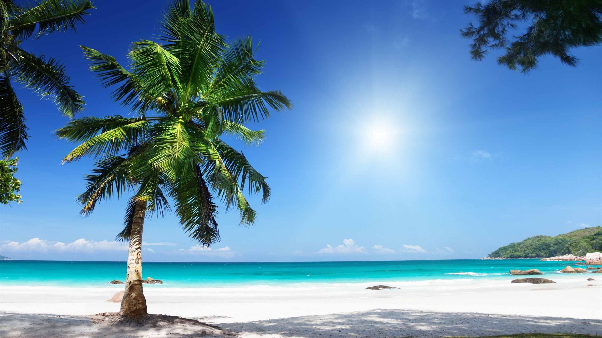 2560x1440 The best beach wallpaper for Mac. I'm from mac, Desktop