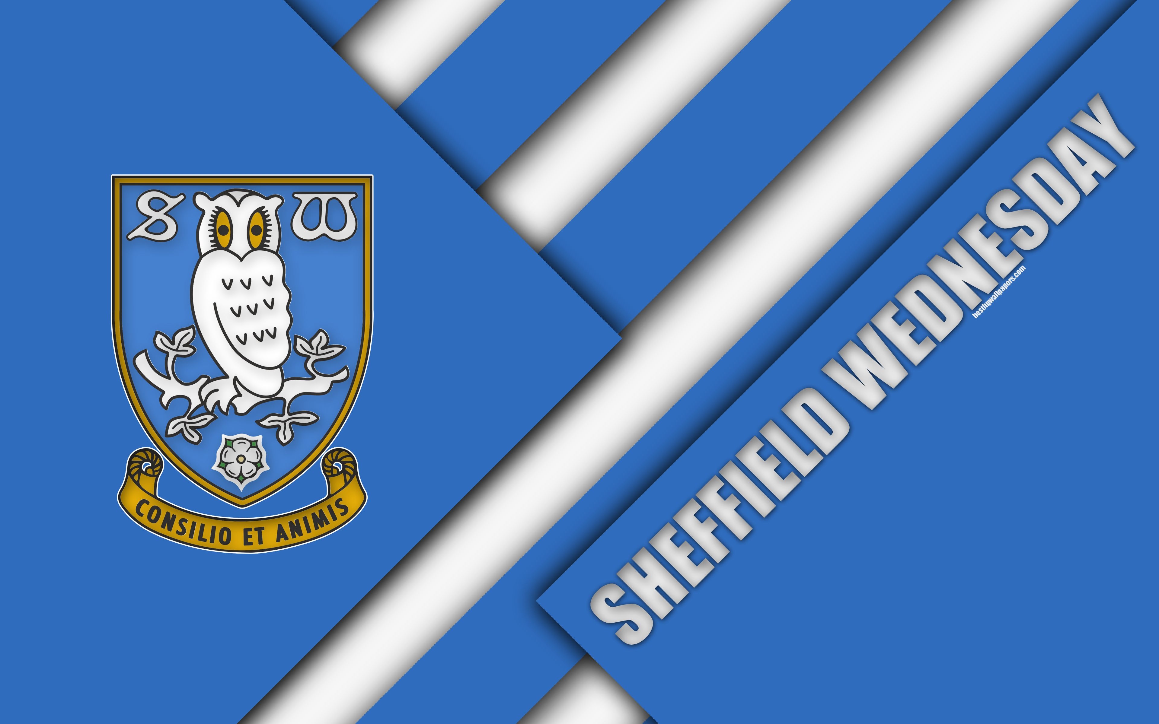 3840x2400 Download wallpaper Sheffield Wednesday FC, logo, 4k, blue white, Desktop