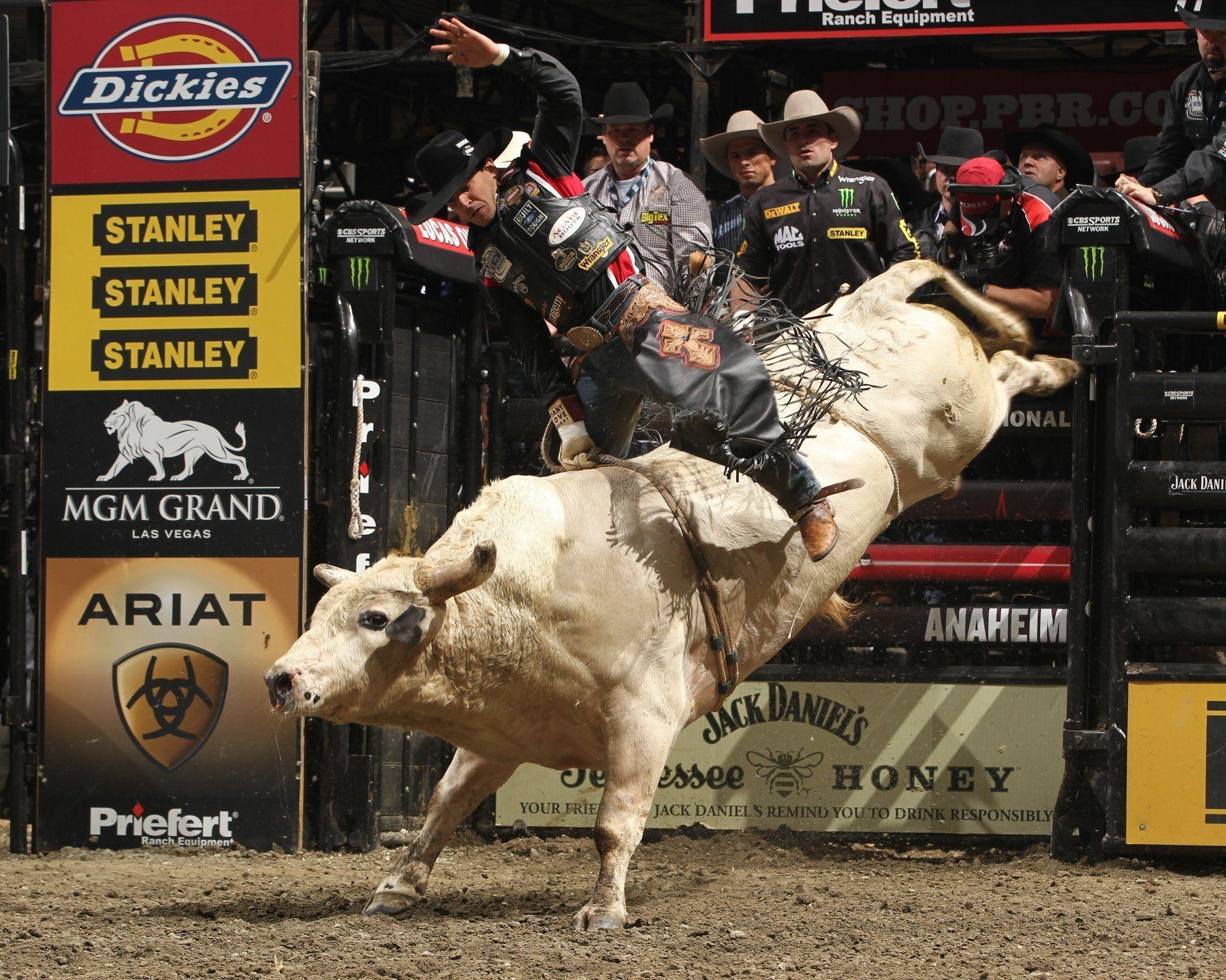 1800x1440 Bullriding Computer Wallpaper, Desktop Background  Id, Desktop