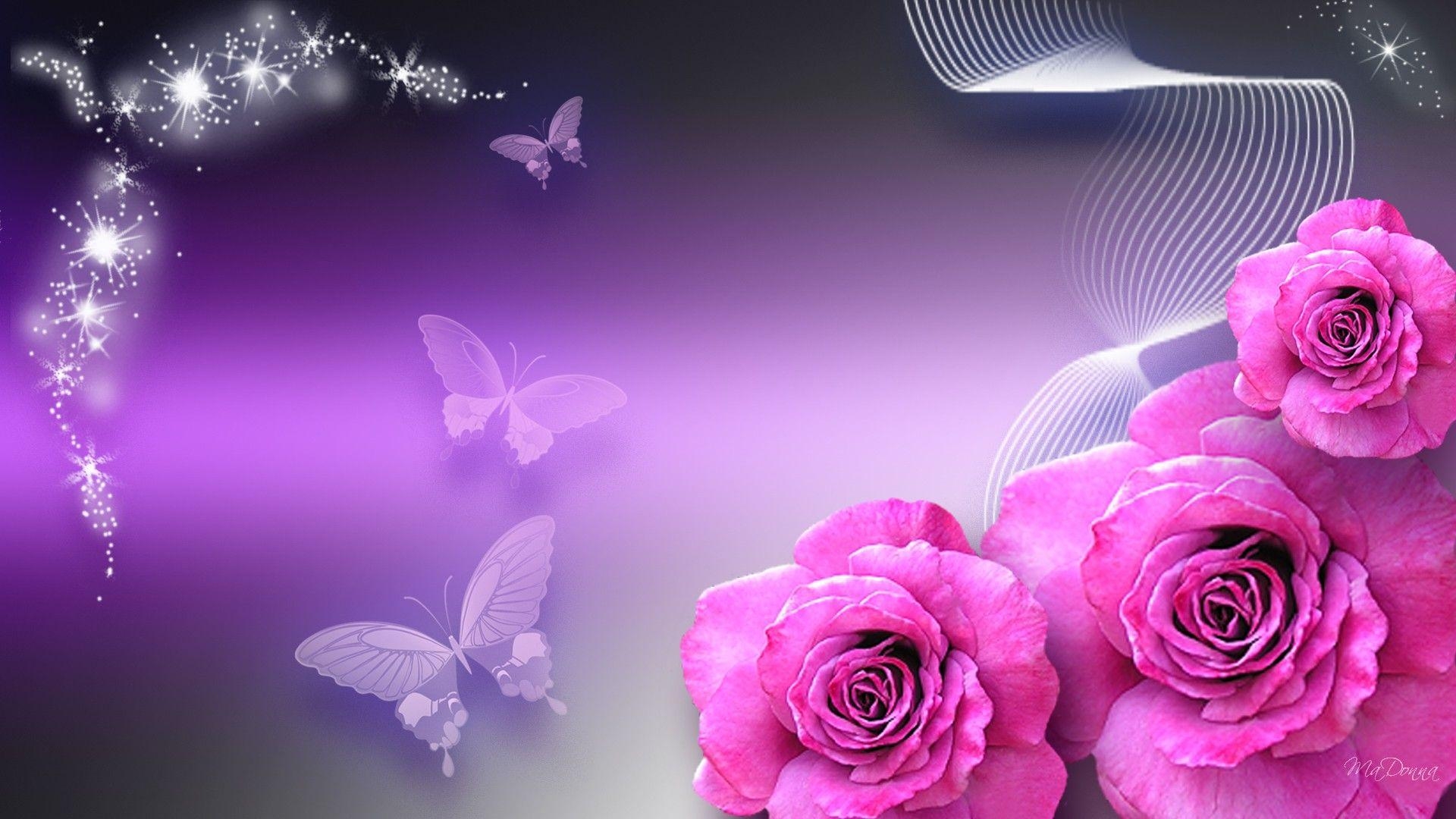 1920x1080 Pink Butterfly Wallpaper And Wallpaper, Desktop