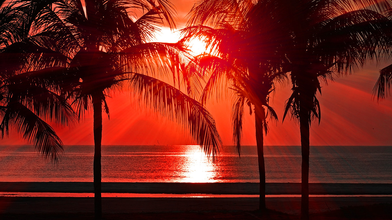 1370x770 wallpaper for desktop, laptop. beach vacation summer night sunset red palm tree dark, Desktop