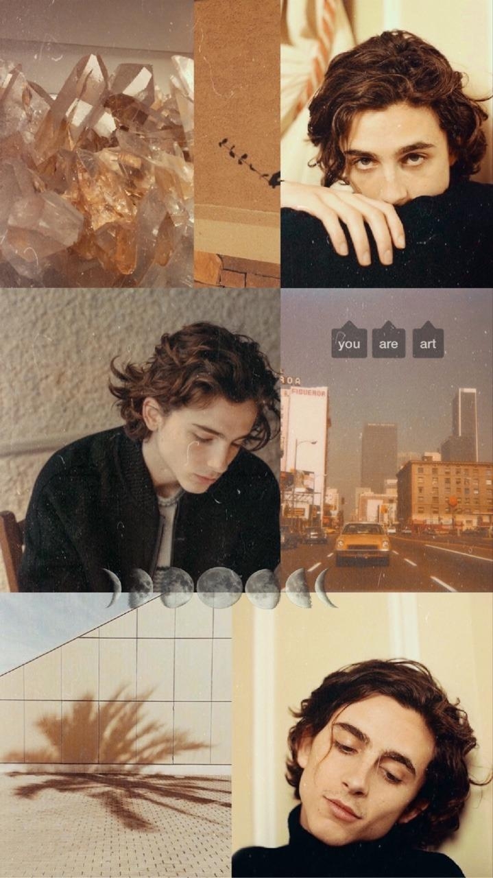 720x1280 timothee chalamet lockscreens, Phone