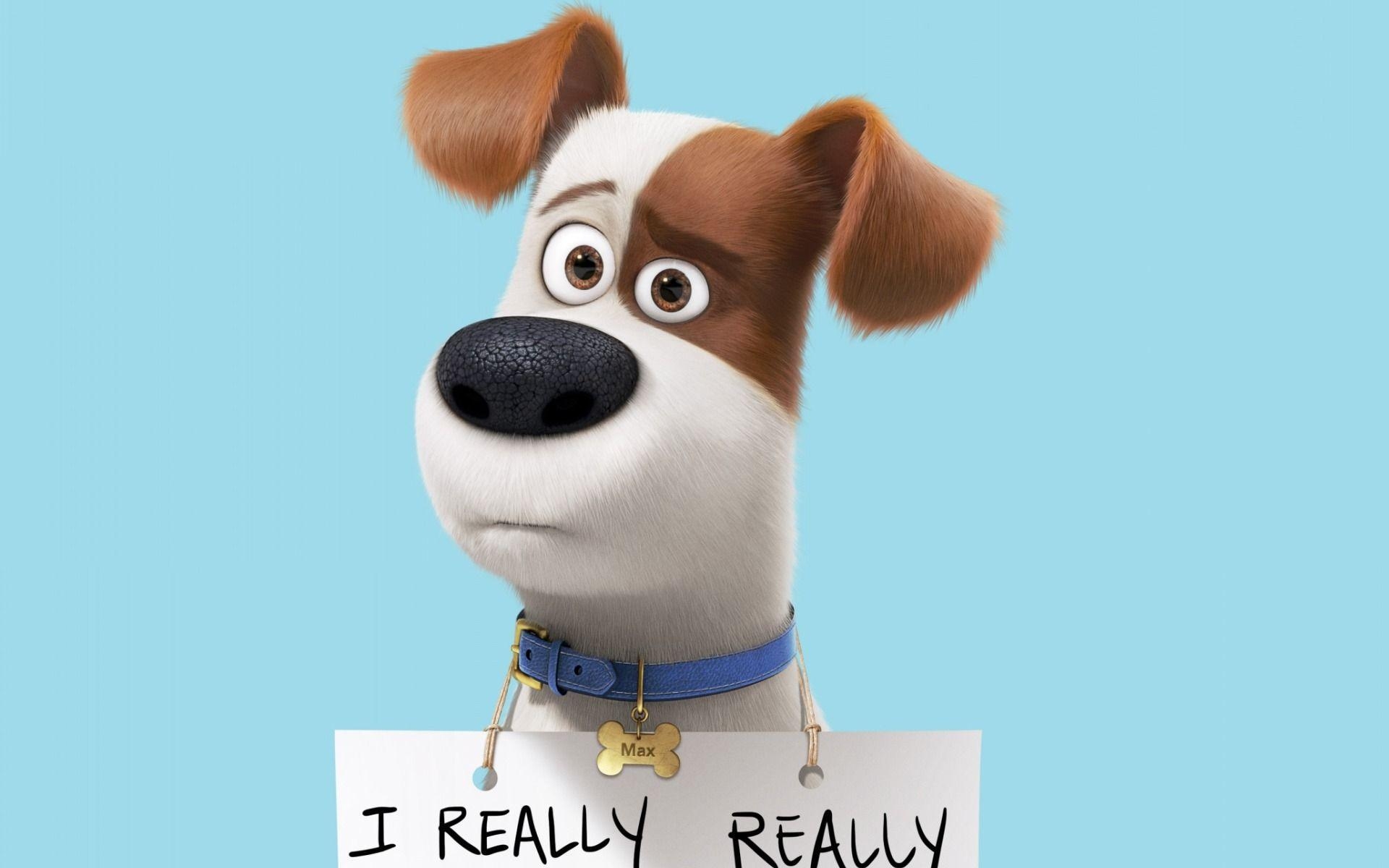 1920x1200 The Secret Life Of Pets Wallpaper, Desktop