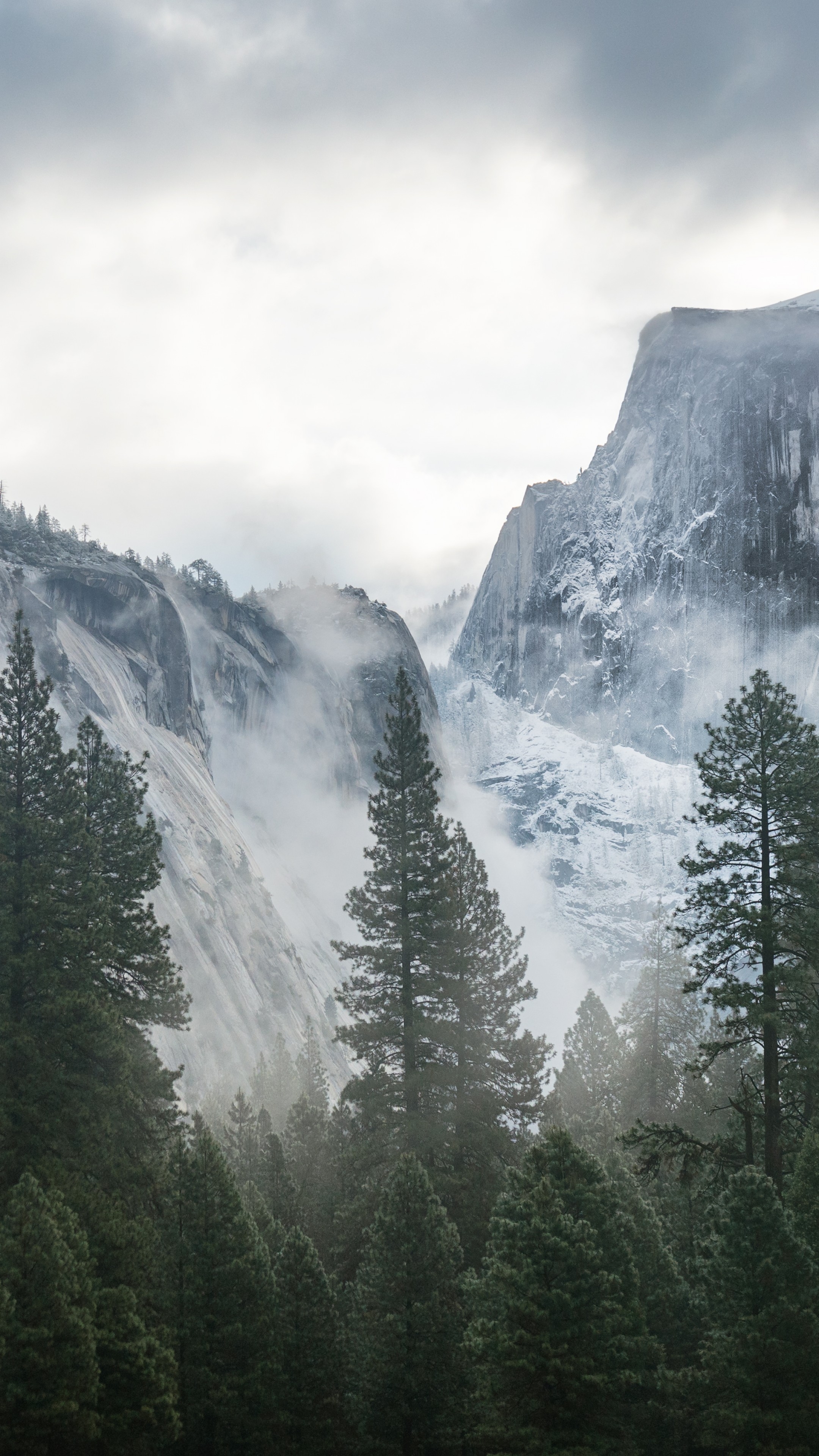 2160x3840 Wallpaper Yosemite, 5k, 4k wallpaper, 8k, forest, OSX, apple, Phone