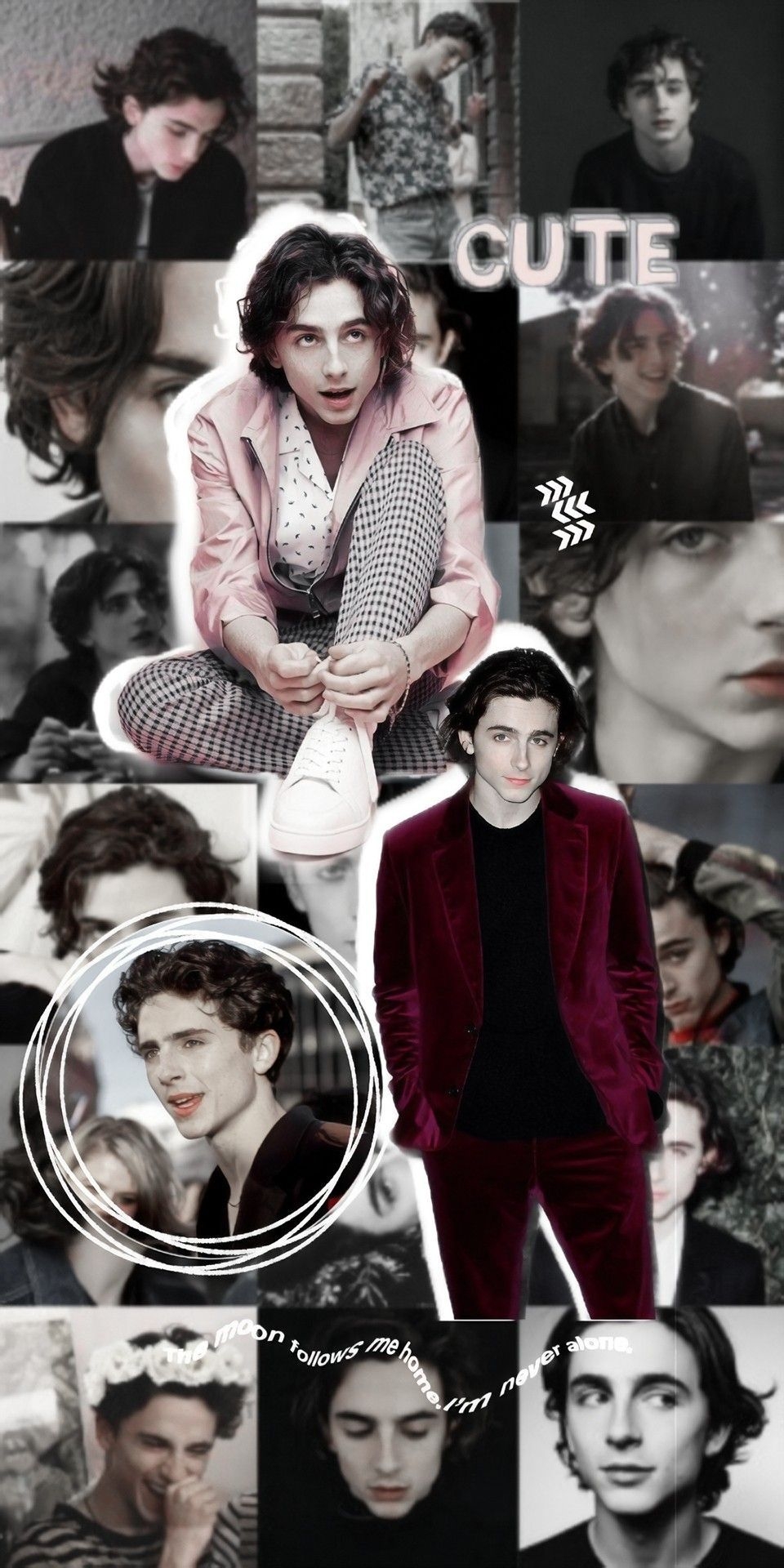 960x1920 timothée chalamet. Timothee chalamet, Timmy t, Thimotée chalamet, Phone