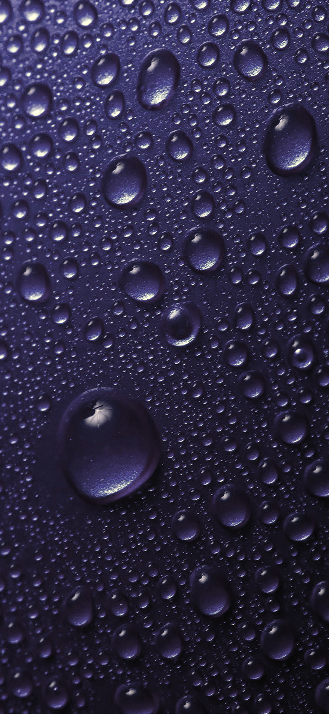 1130x2440 Rainy wallpaper for iPhone, Phone